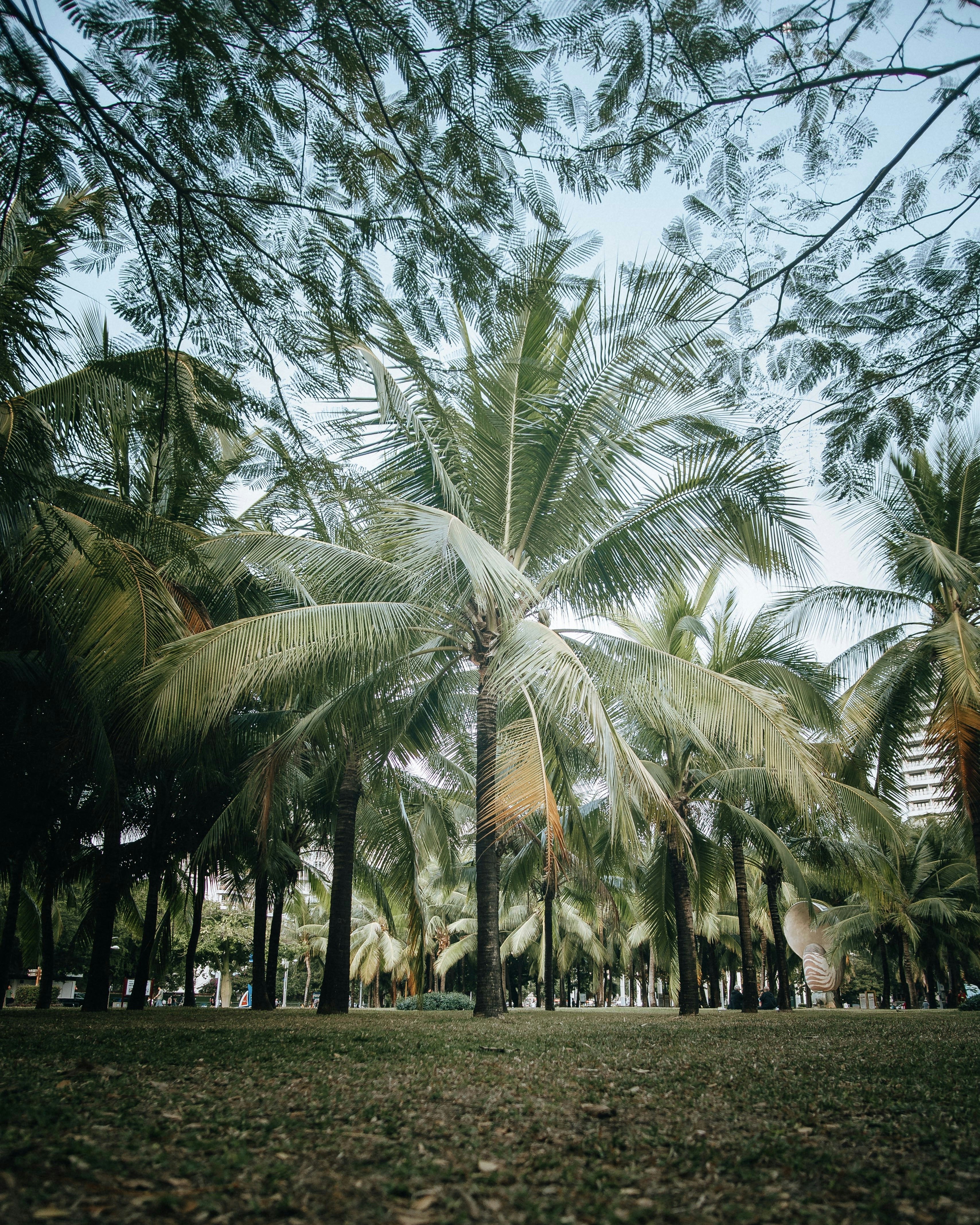 Photo by thecunyu7