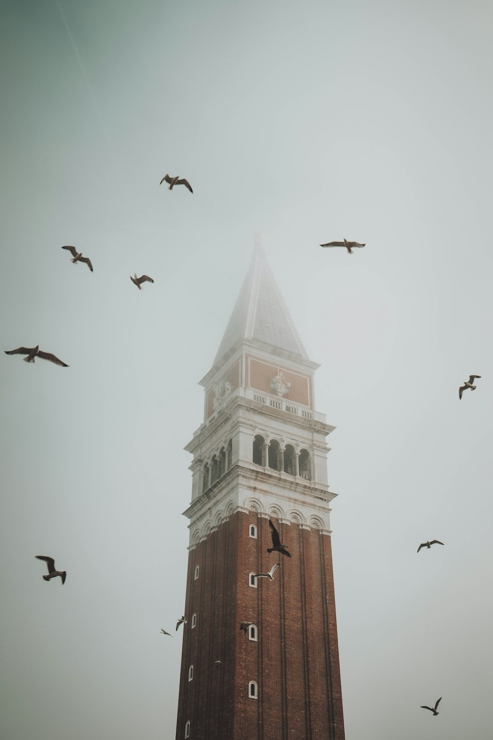 a clock tower with birds flying around it