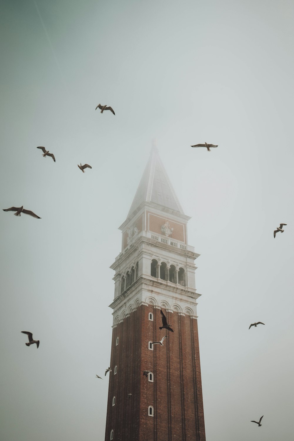 una torre dell'orologio con uccelli che volano intorno ad essa