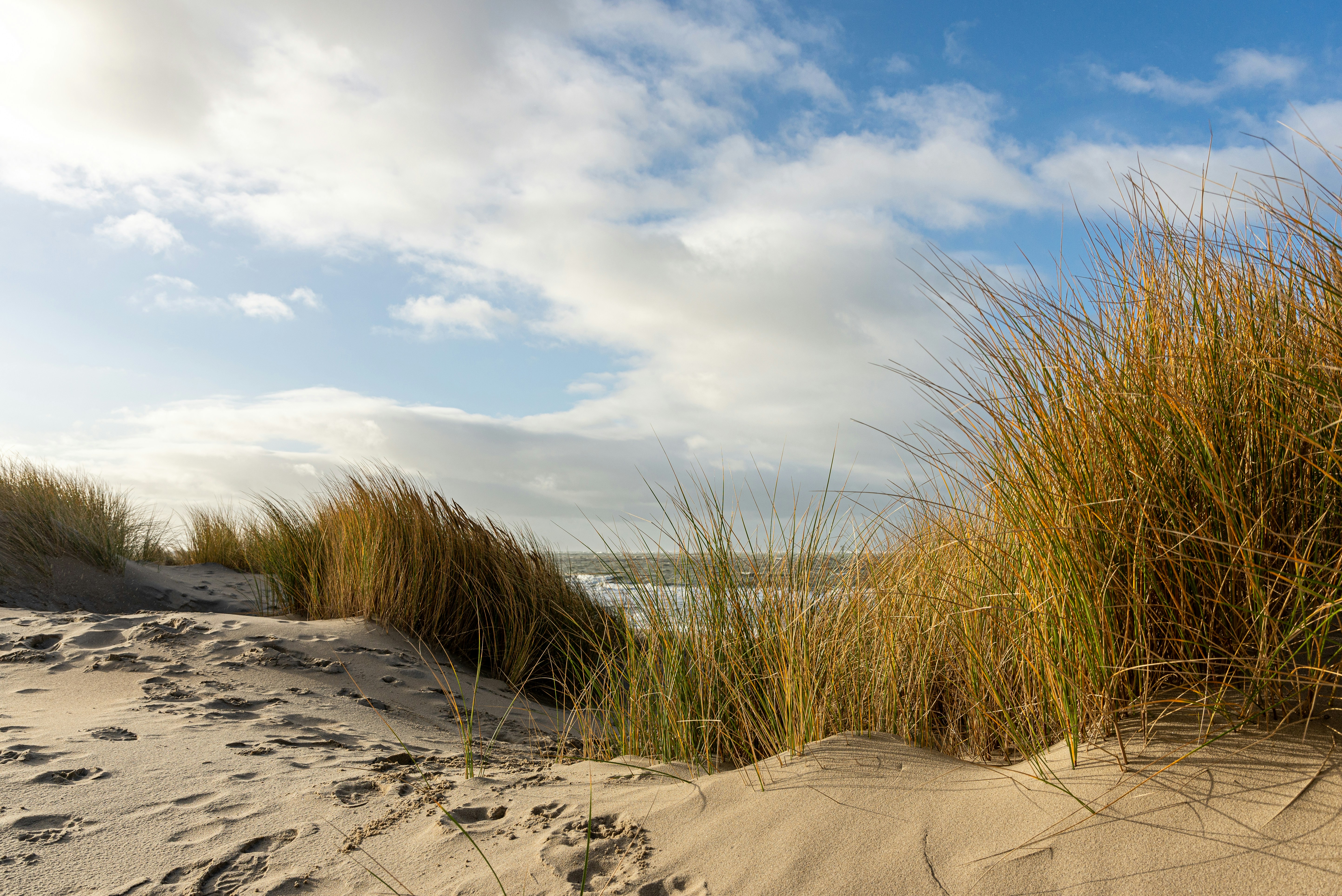 Photo by merlijnrene