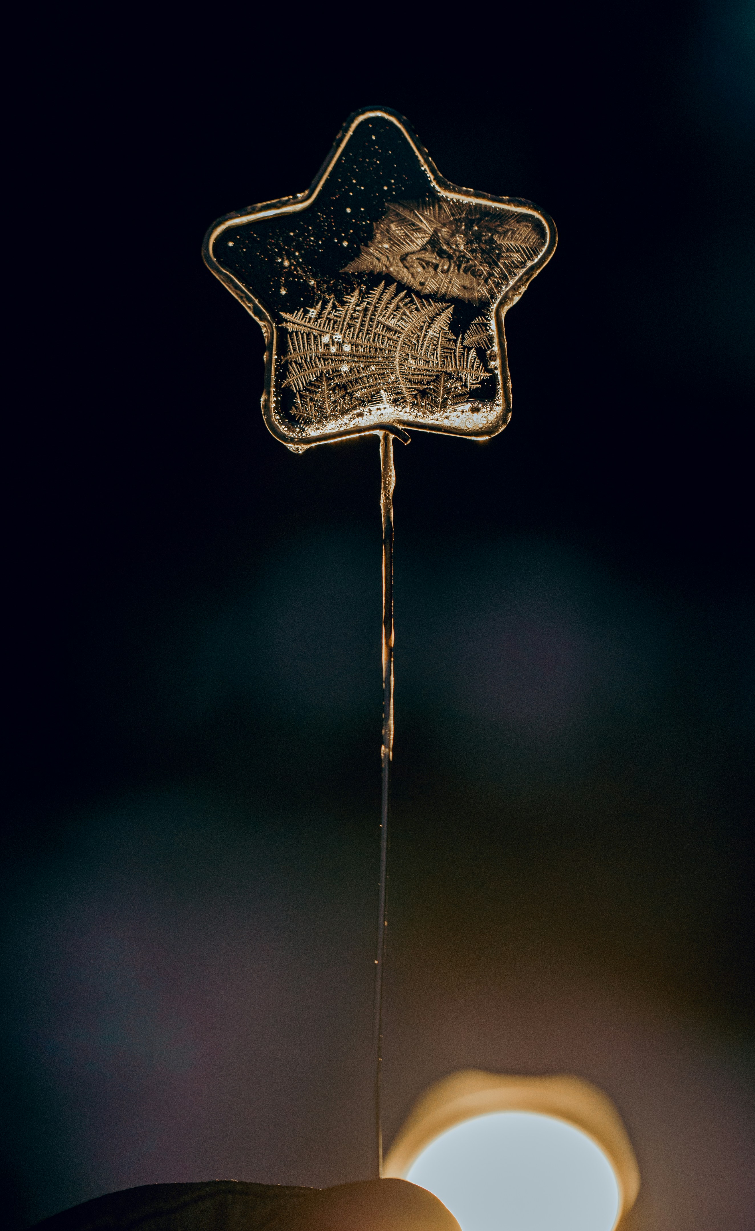 a person holding a star shaped object in their hand