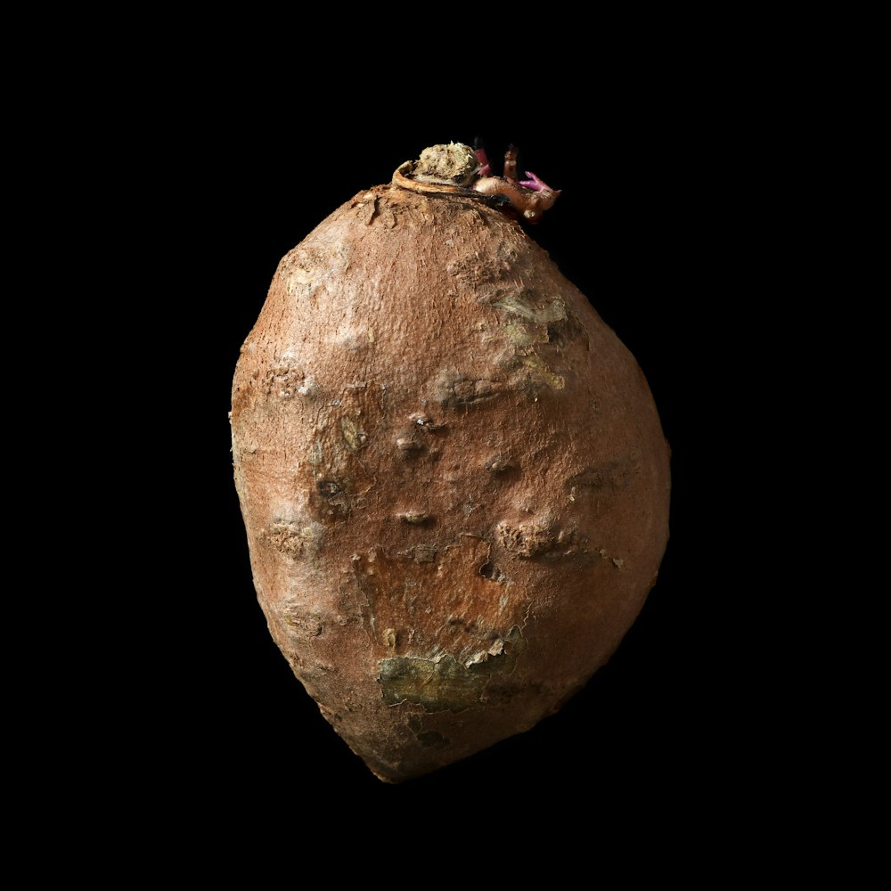a close up of a potato on a black background