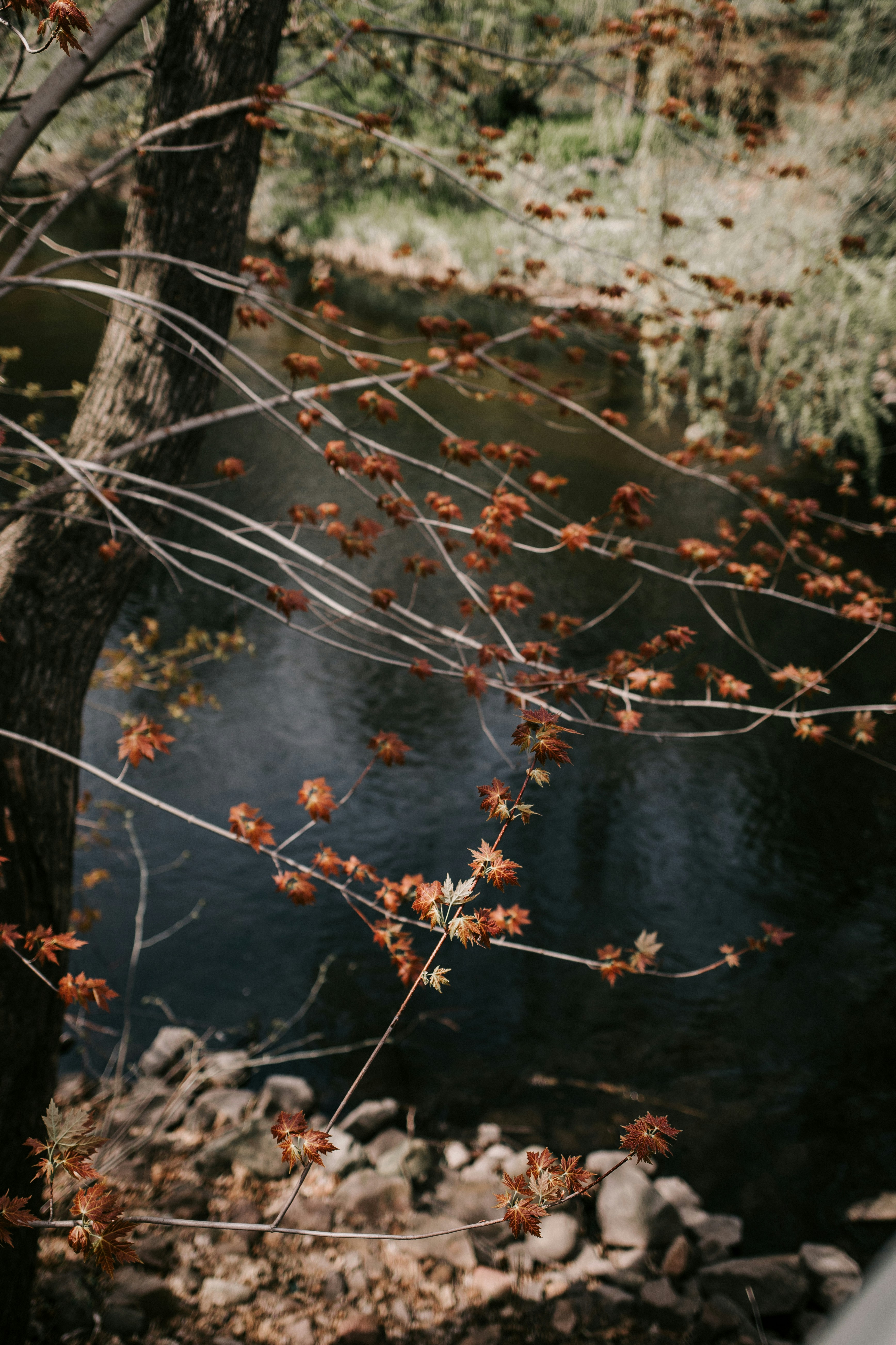 Photo by dillydallying