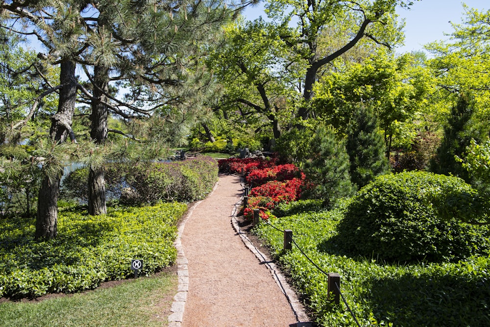 a pathway in a park with trees and shrubs