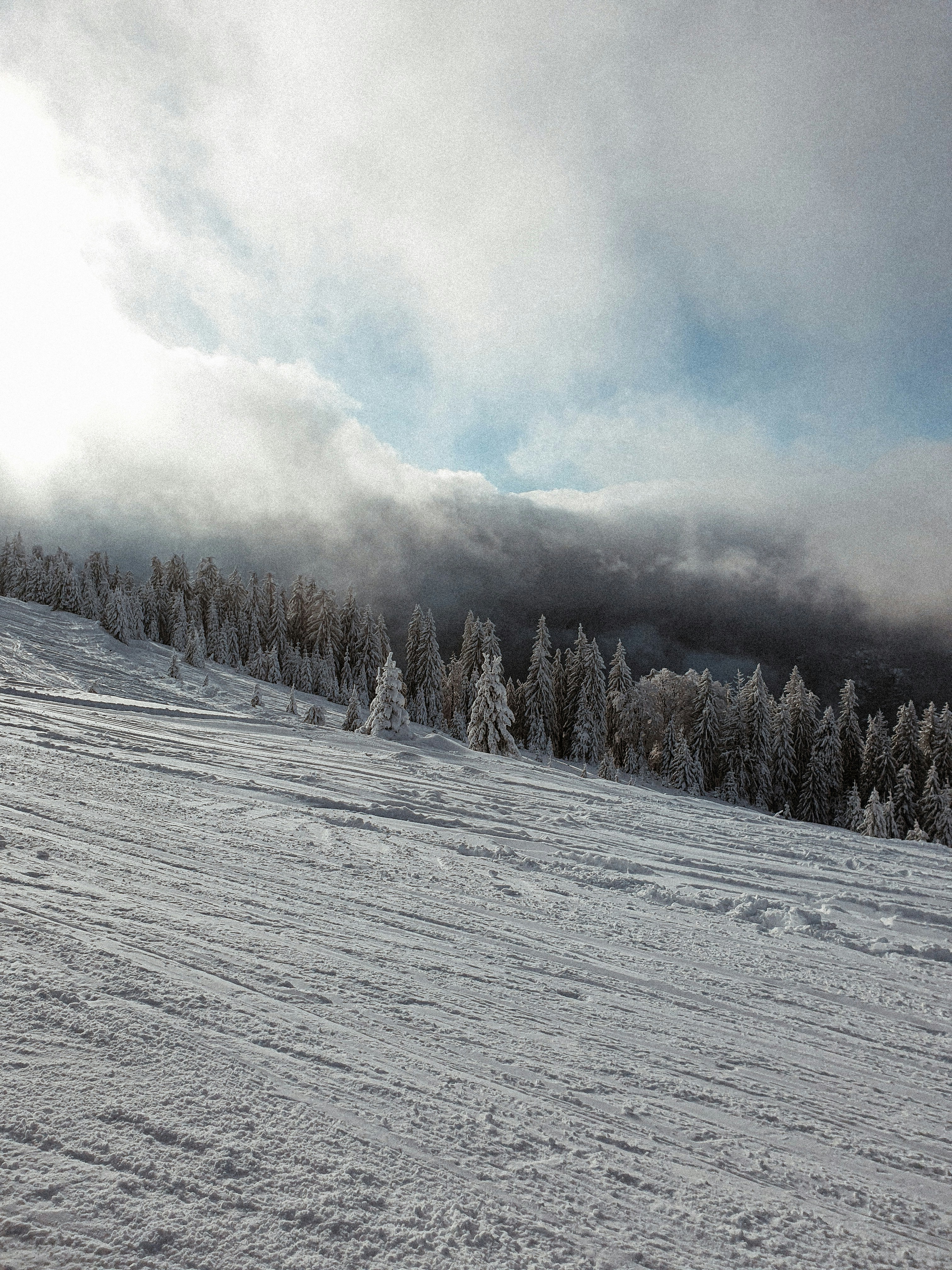 Photo by nasteagangal