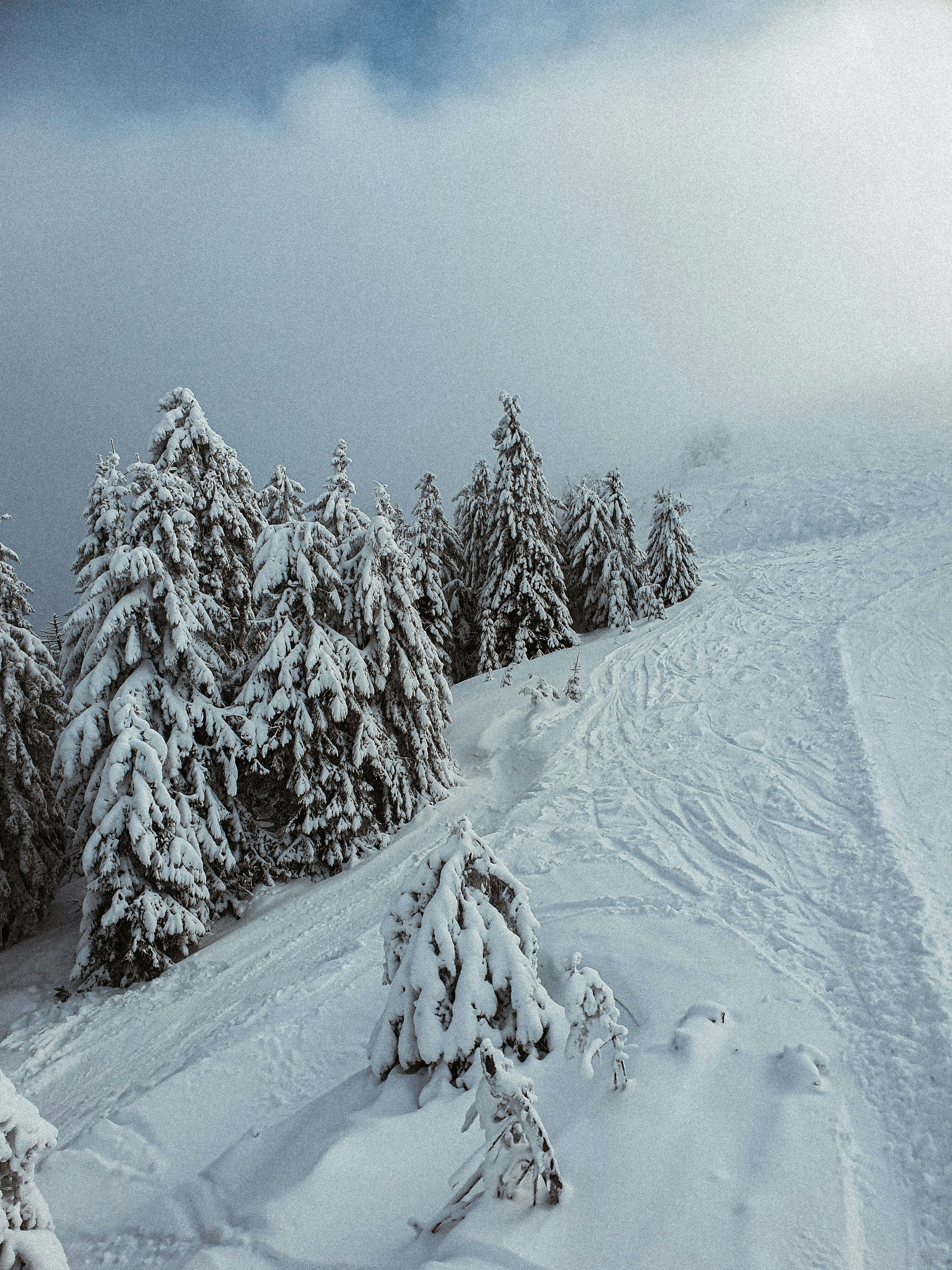 Photo by nasteagangal