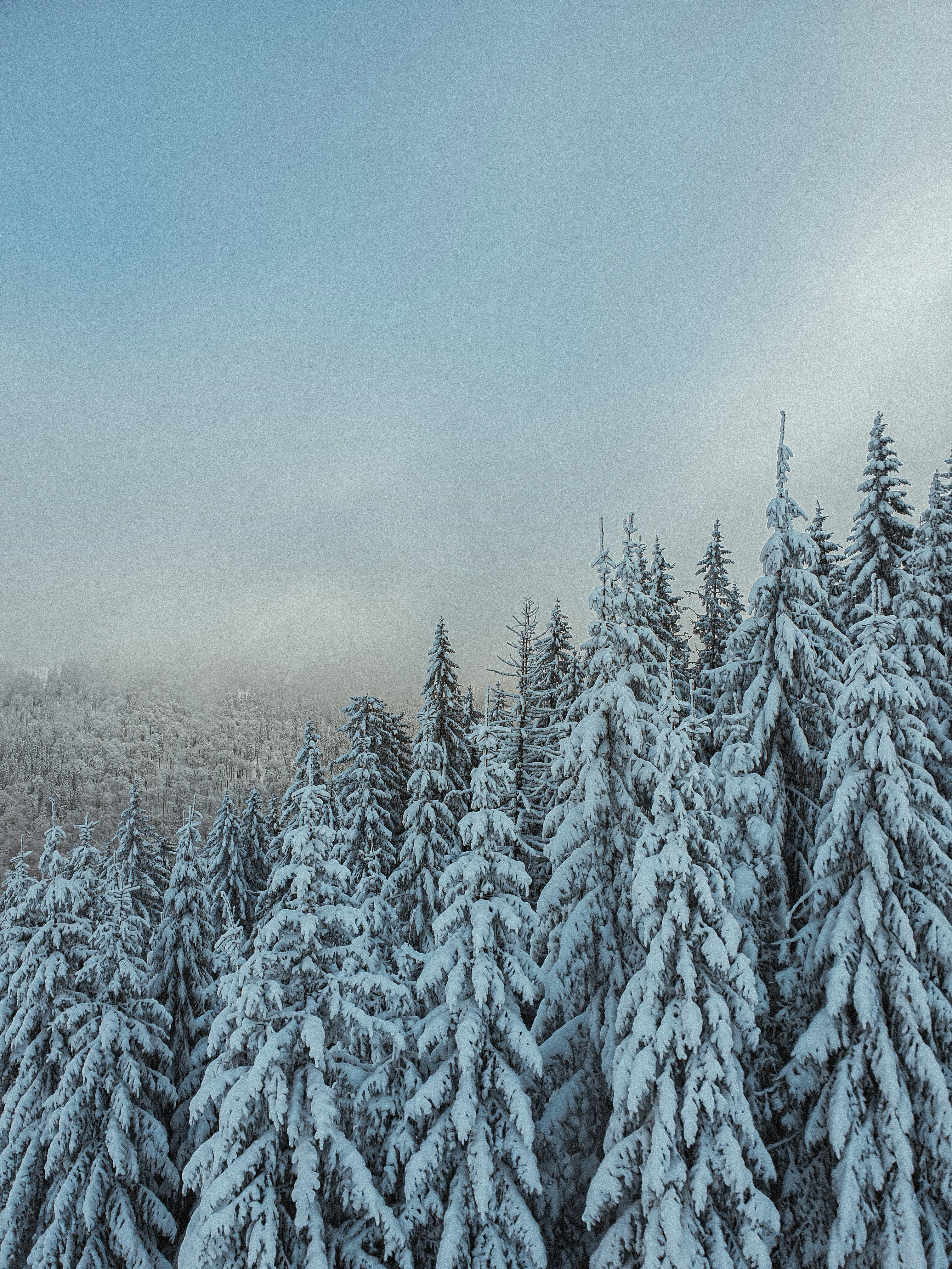 Photo by nasteagangal