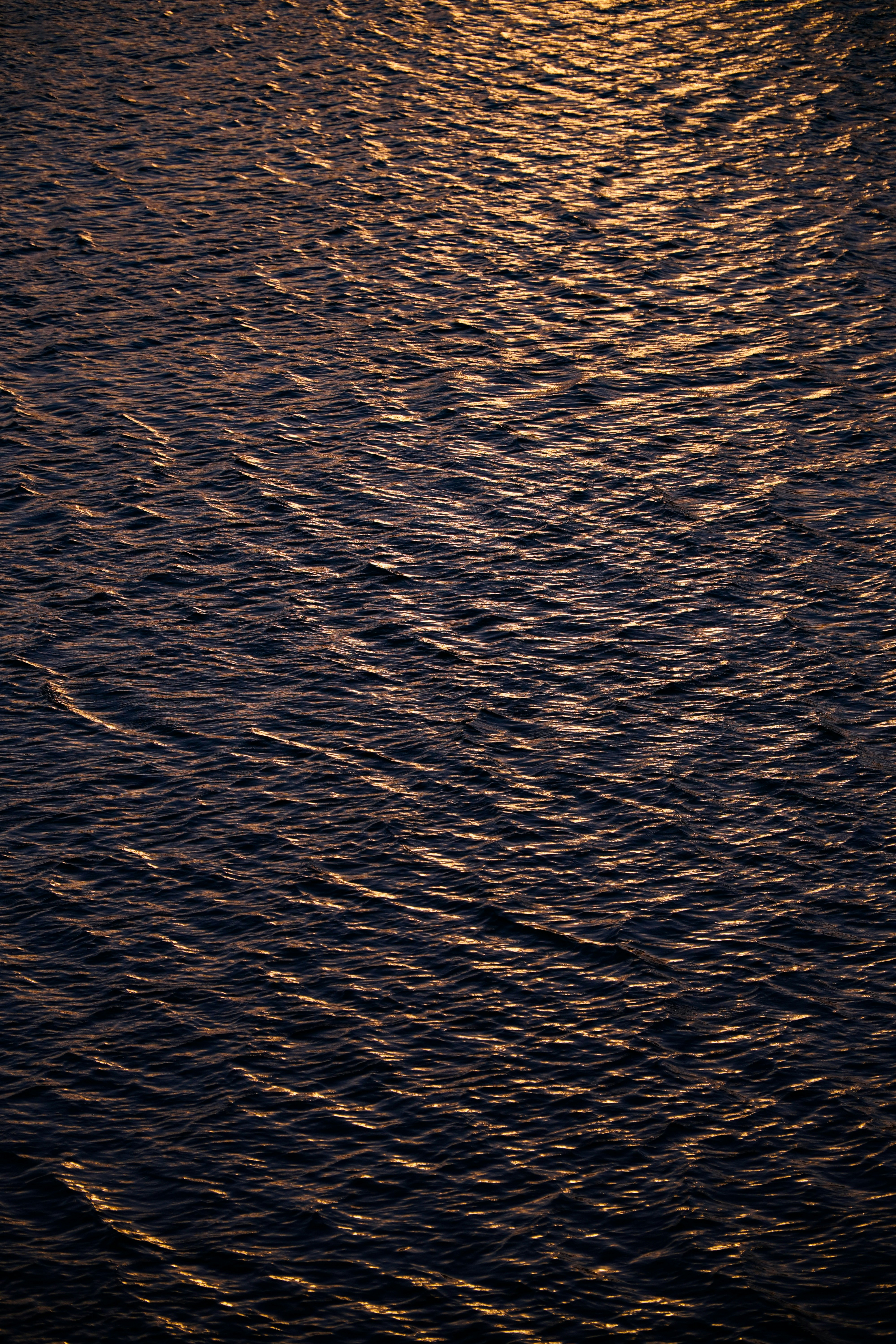 Photo by joeldurkee