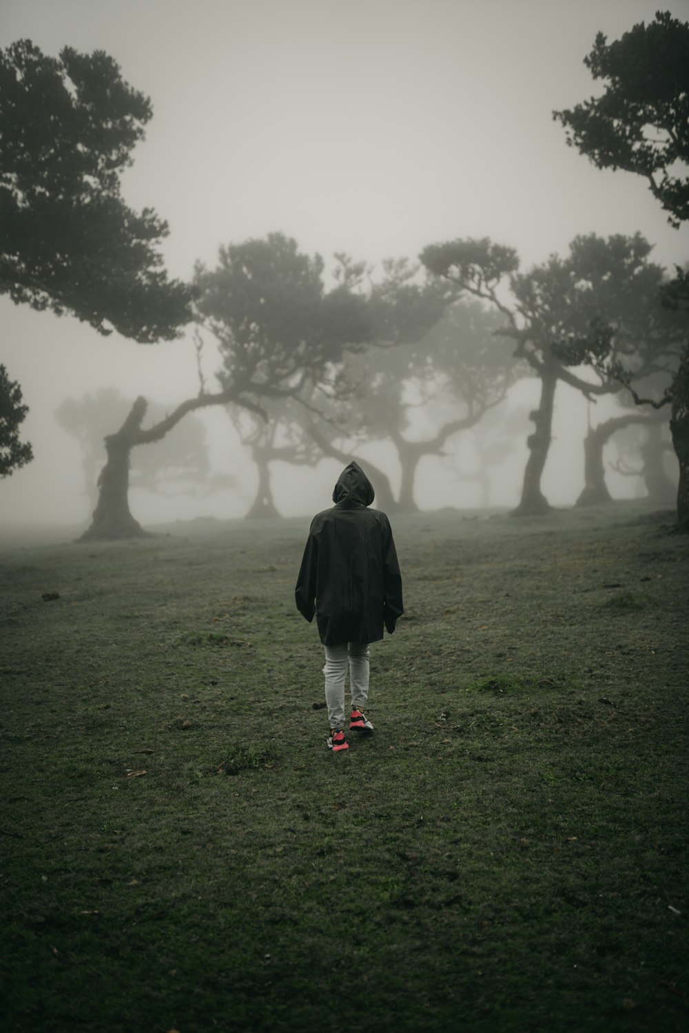 a person walking through a field with trees in the background