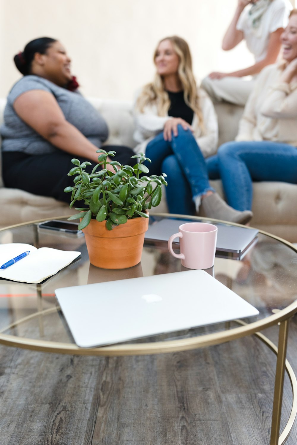 a table with a laptop and a potted plant on it