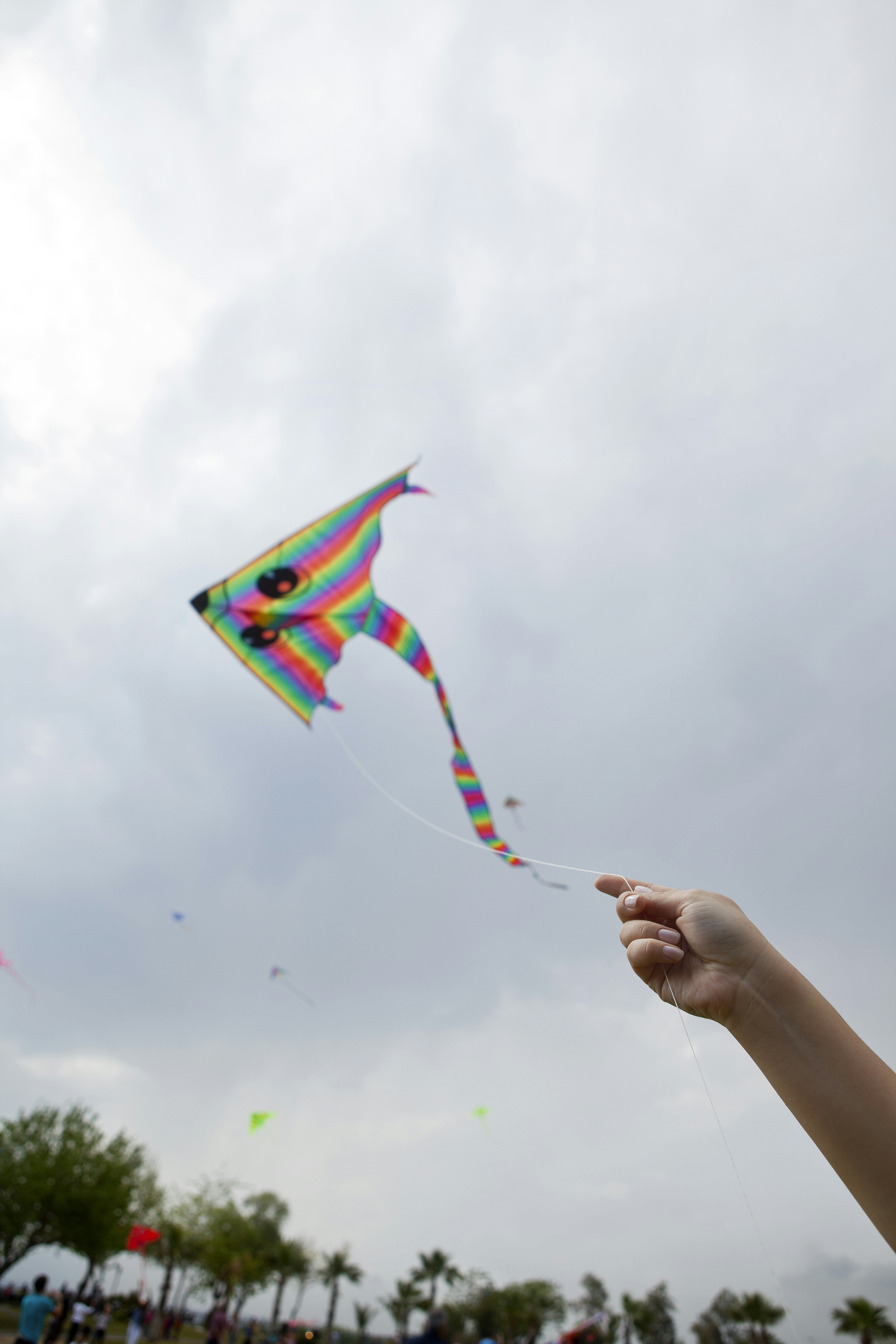 Kite Flying Pictures Download Free Images on Unsplash