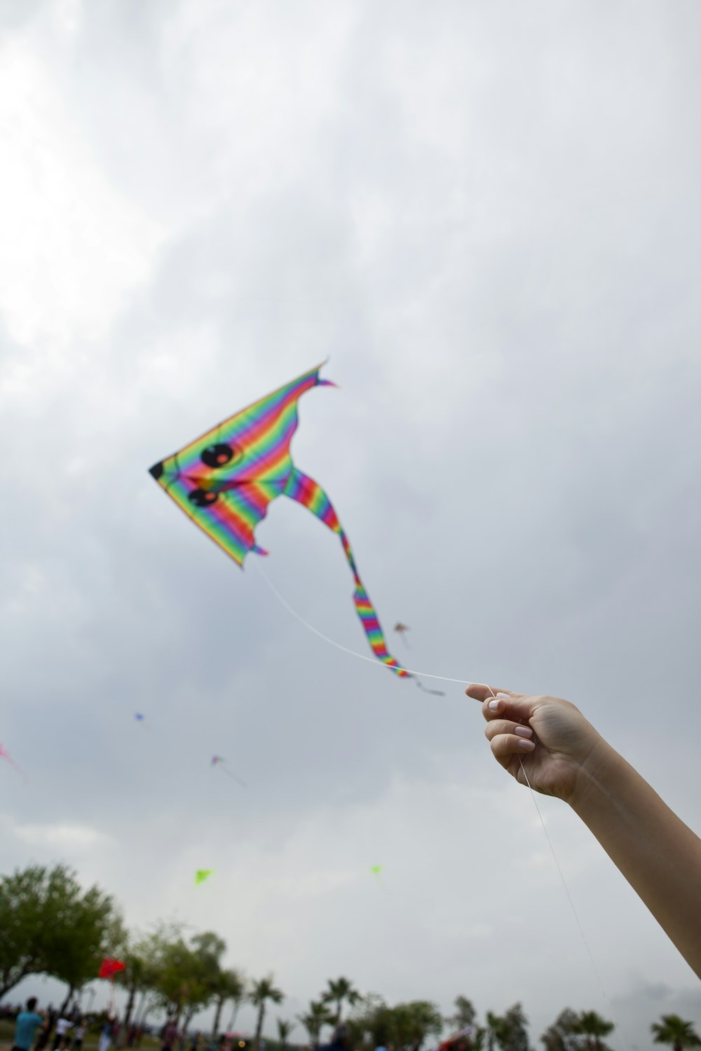 a person is flying a kite in the sky