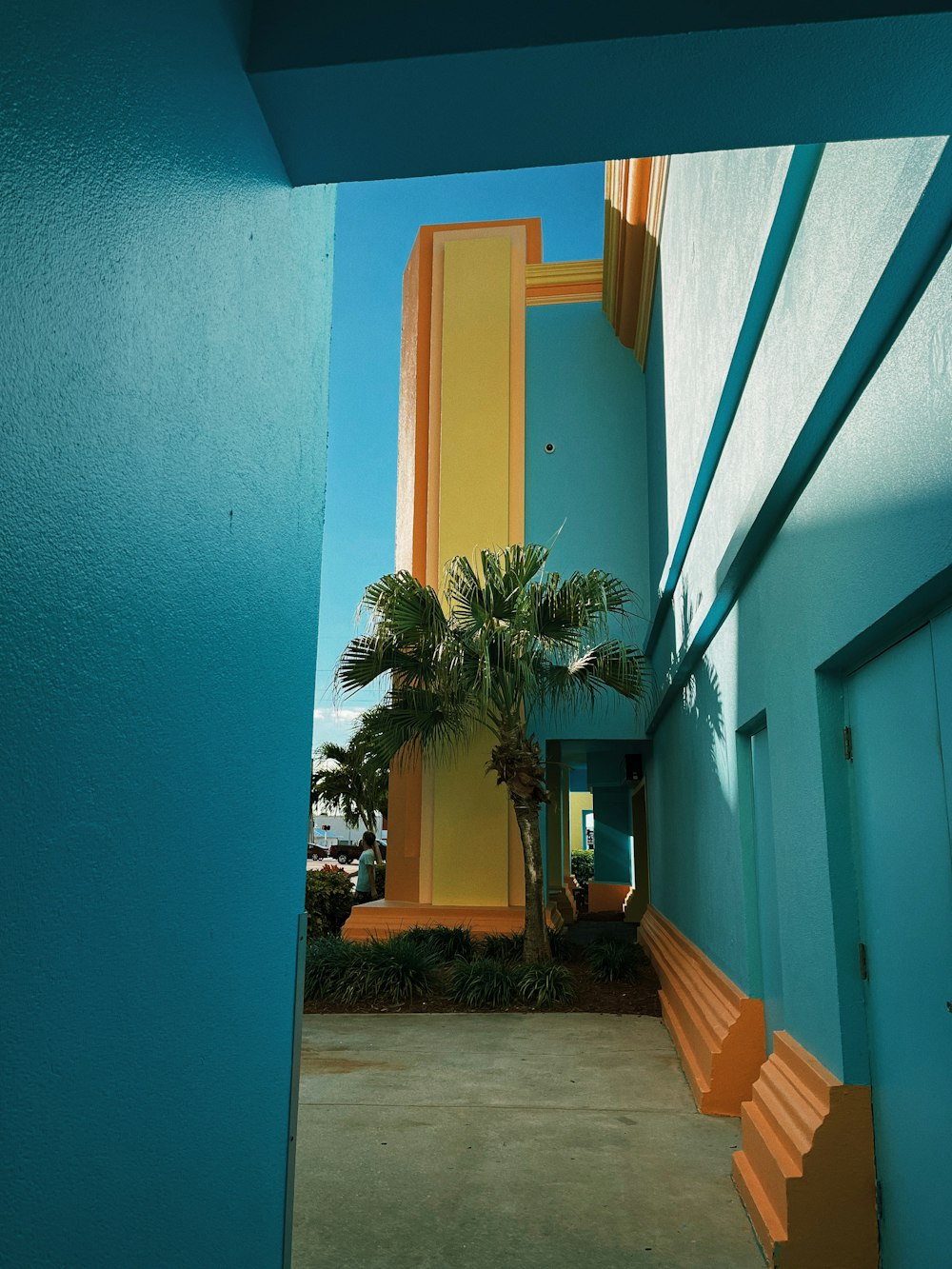 a building with a palm tree in front of it