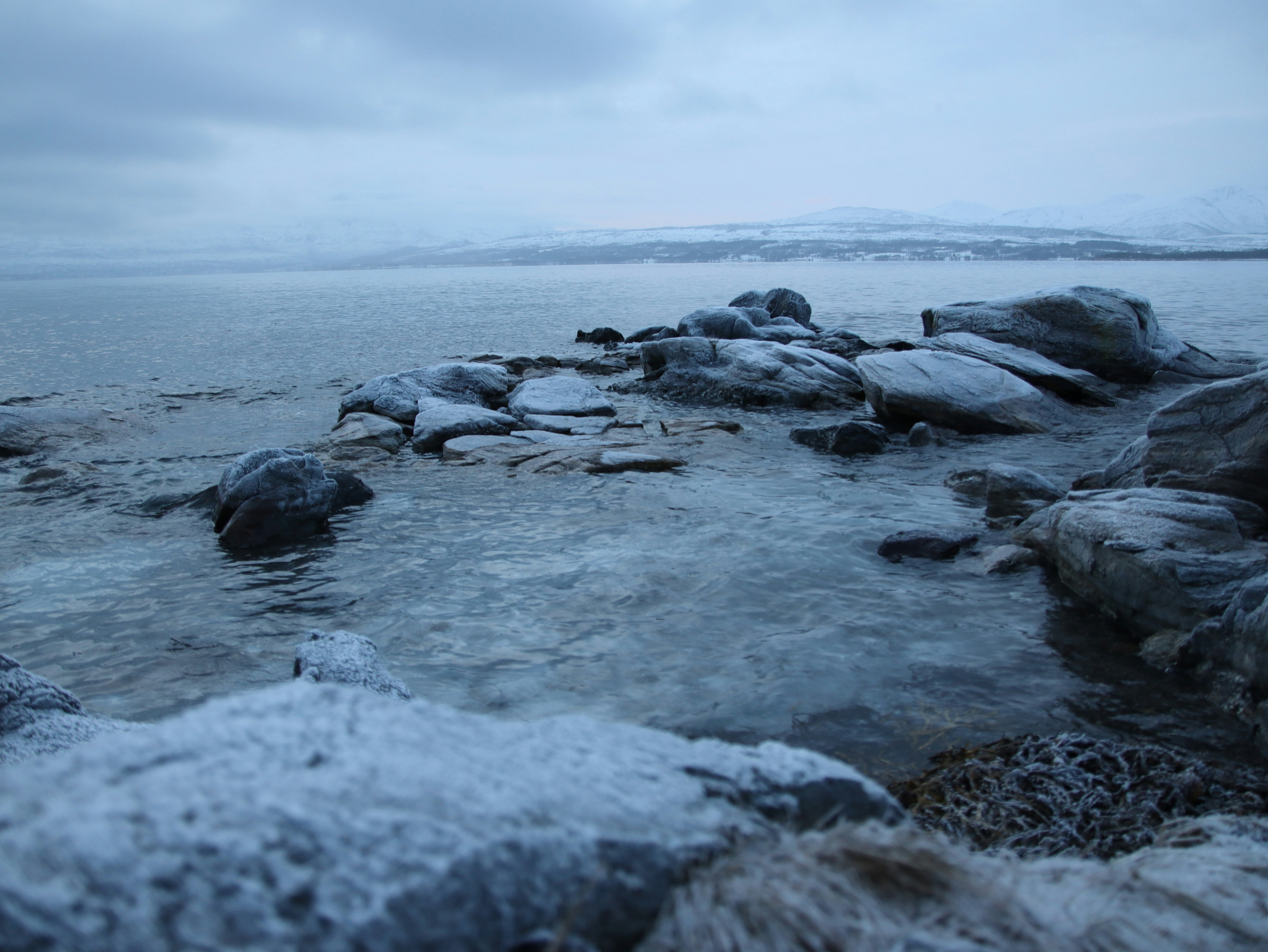 Photo by helenaaa9000