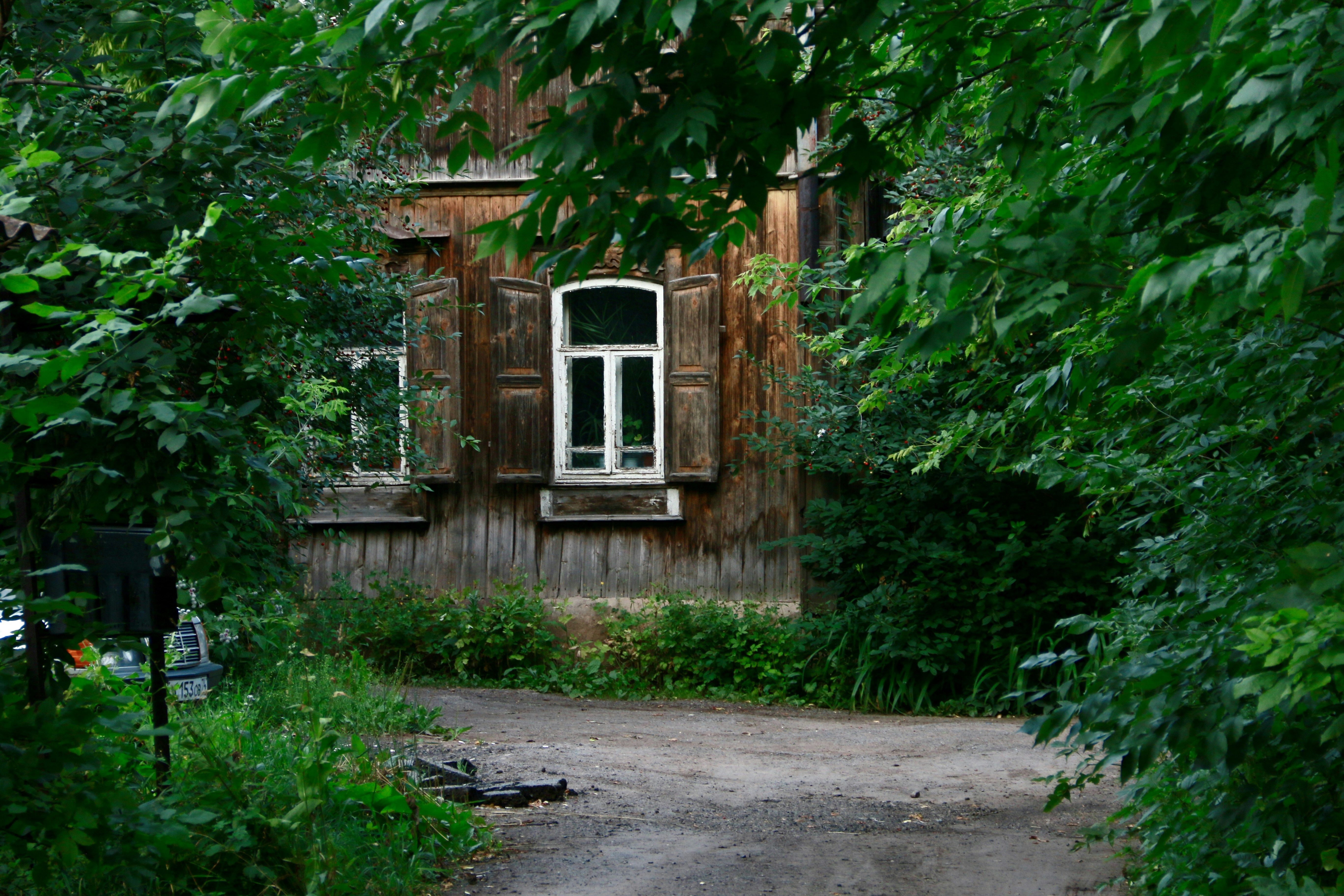 Photo by polinakoroleva