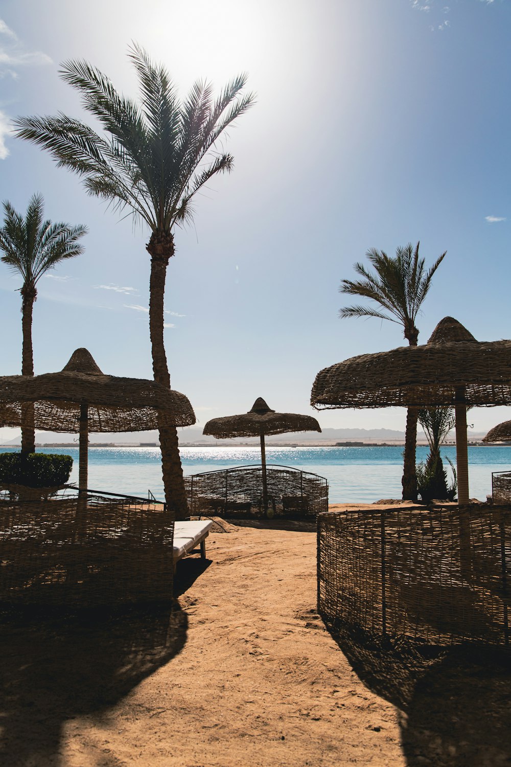 a sandy beach with palm trees and umbrellas