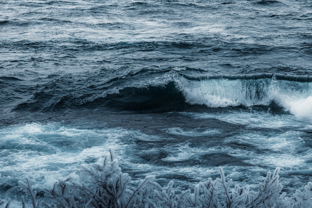 a large body of water with a wave coming in