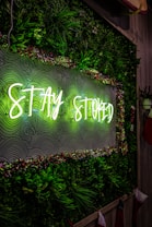a green wall with a neon sign that says stay stopped