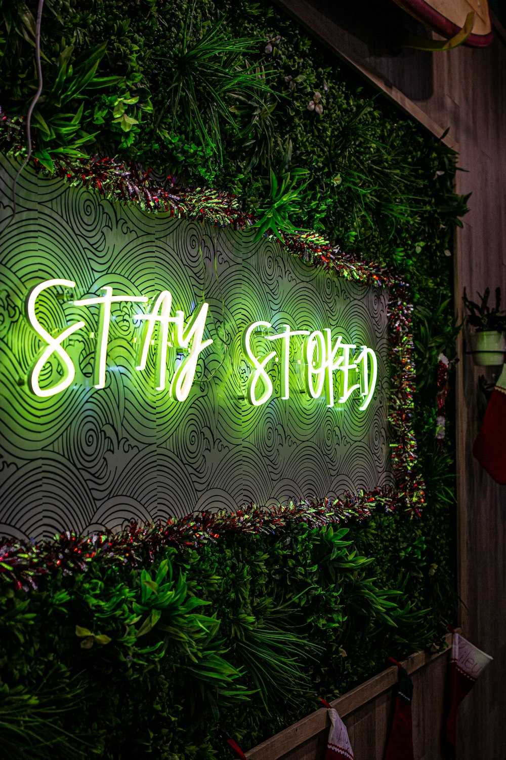 緑の壁に「ステイストップ」というネオンサイン