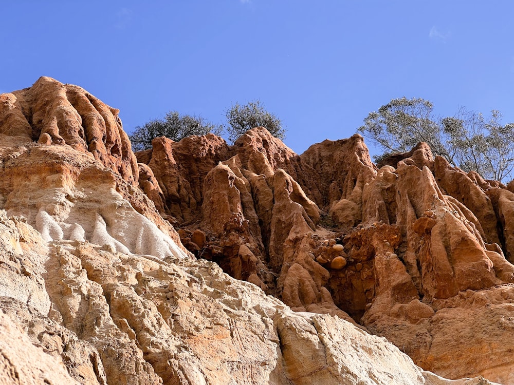 Un groupe de rochers avec des arbres en arrière-plan