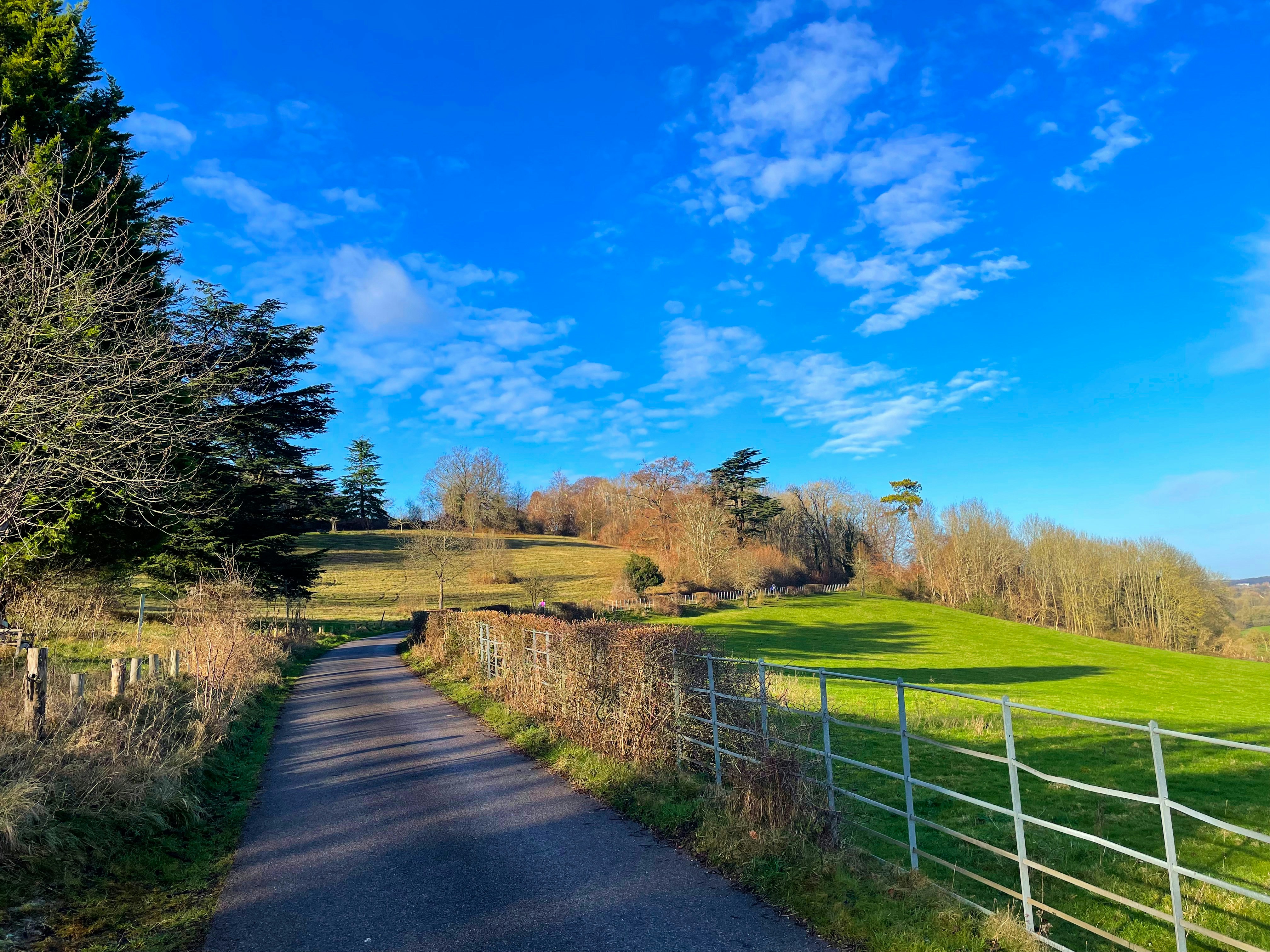 Photo by niteeshyadav