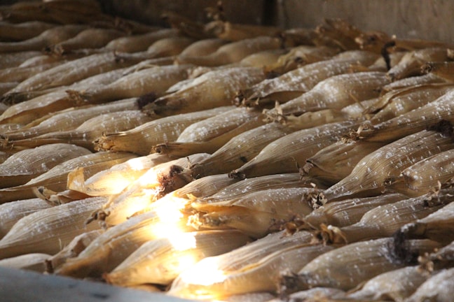 Close-up of a freshly wrapped hallaca with rustic corn husks on a wooden table