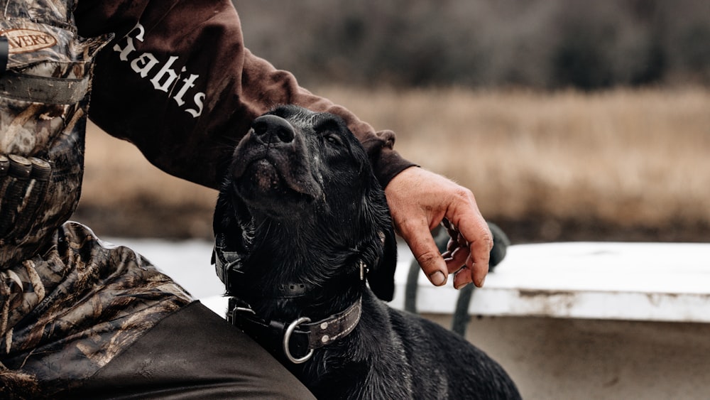 a man petting a black dog on the nose