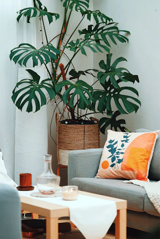 una sala de estar llena de muebles y una planta
