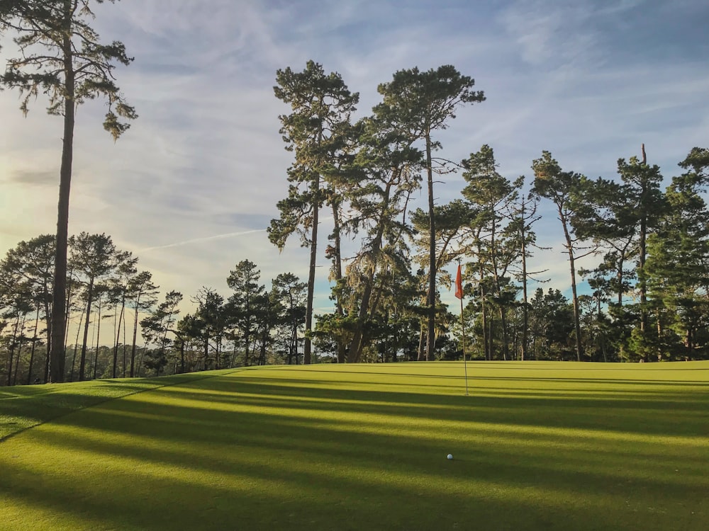 a view of a golf course with trees in the background