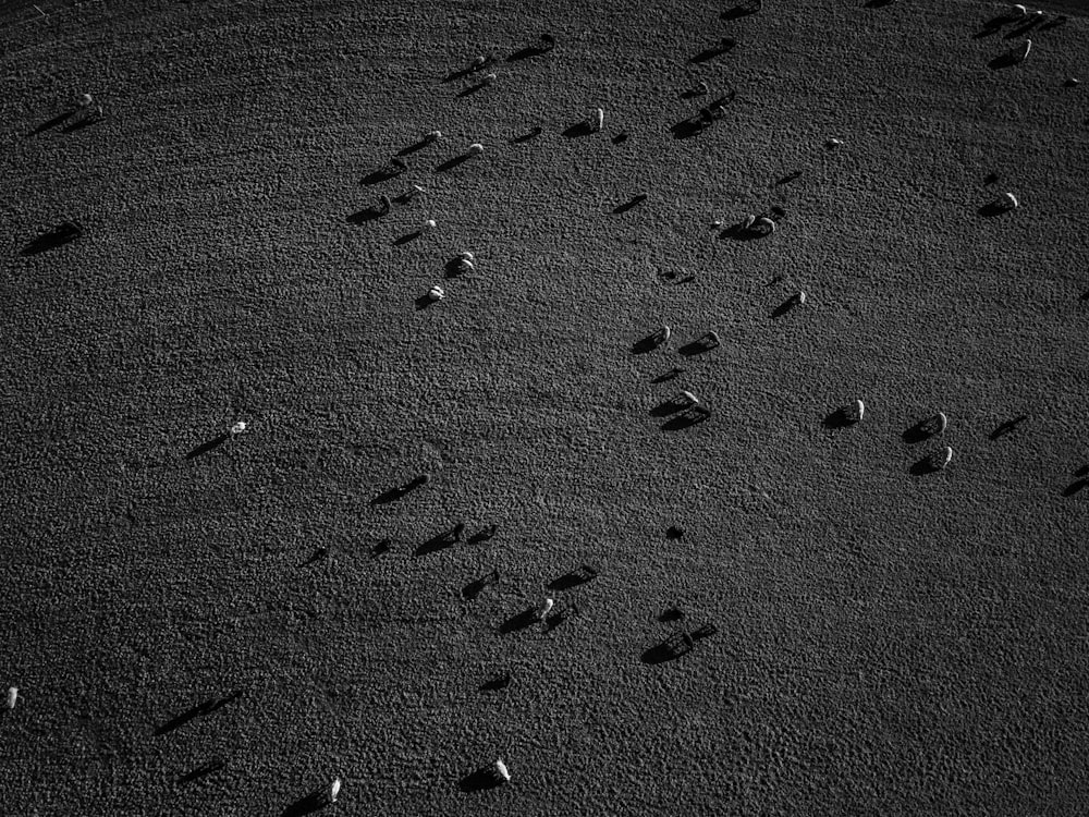 a black and white photo of footprints in the sand