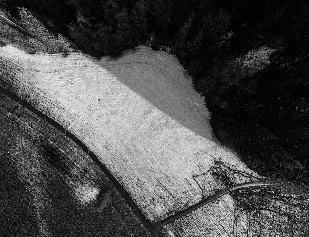 a black and white photo of a dirt road