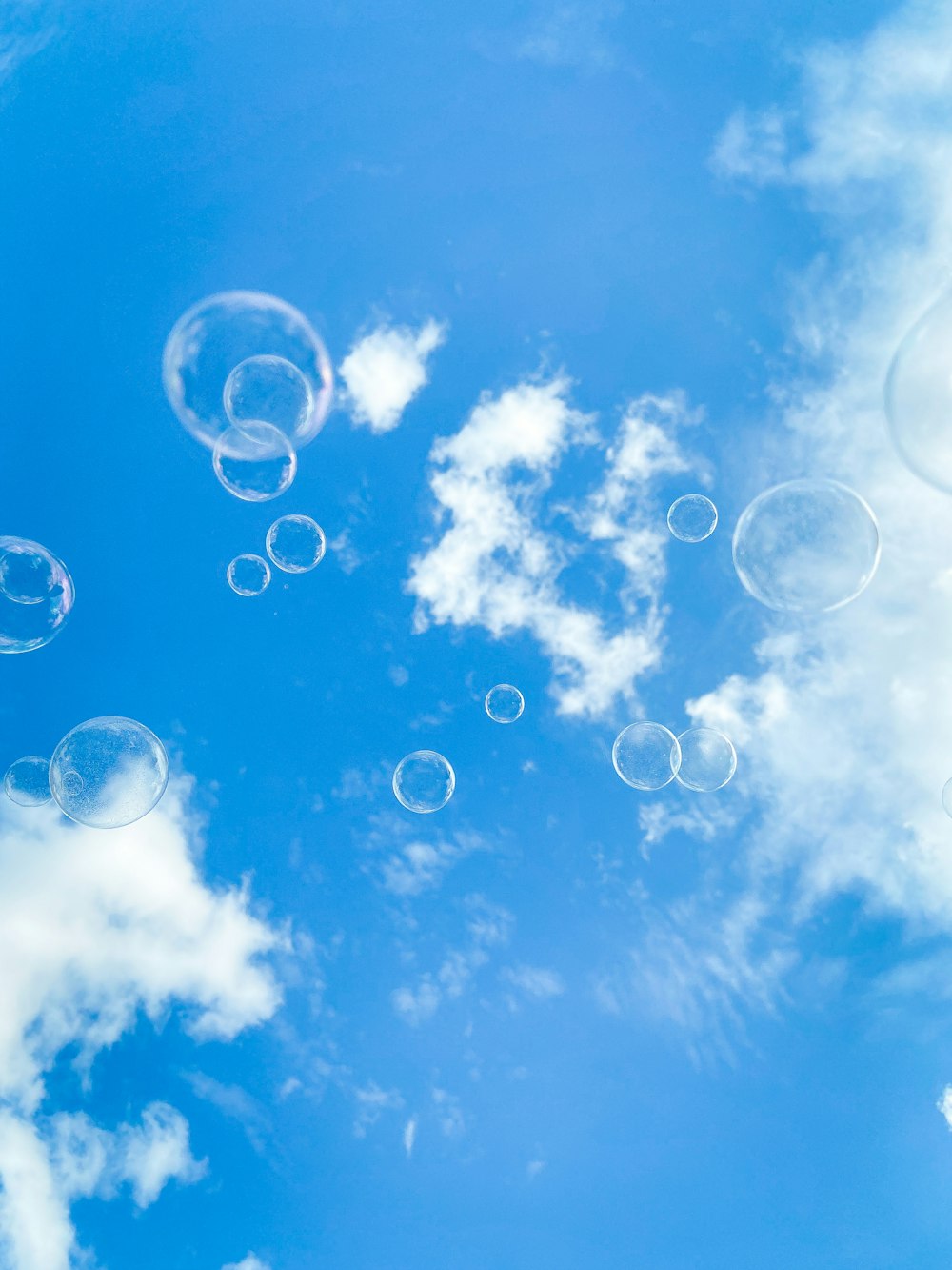 soap bubbles floating in the air on a sunny day