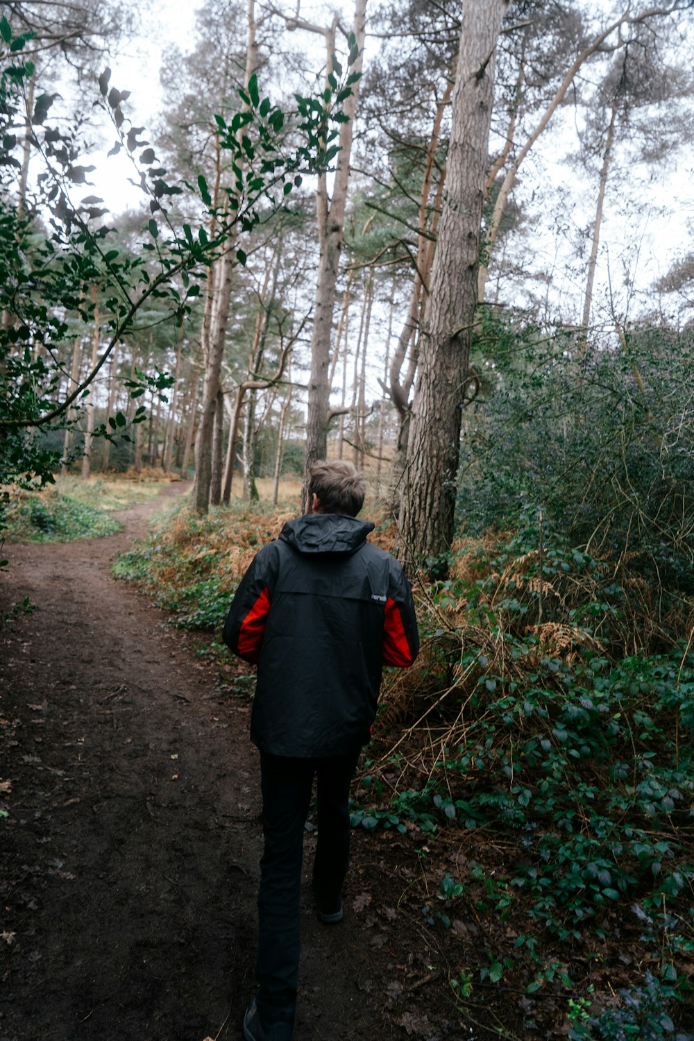 a person walking down a path in the woods