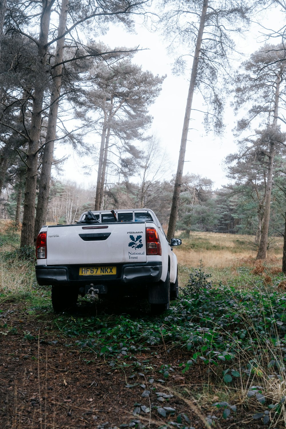 a pick up truck parked in the woods