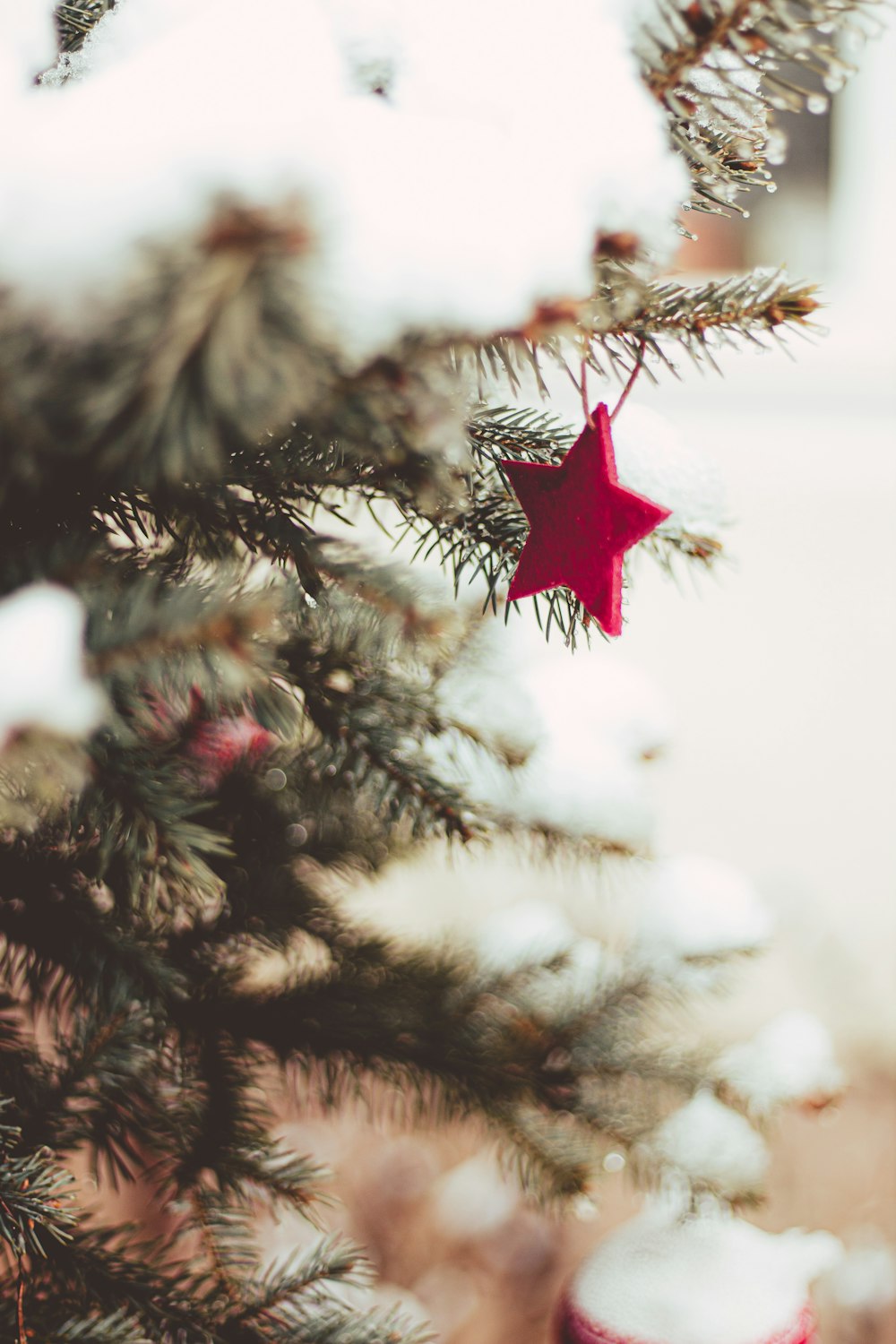 a close up of a christmas tree with a red star on it