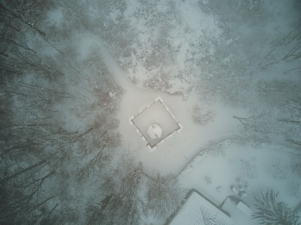a square in the middle of a snowy forest
