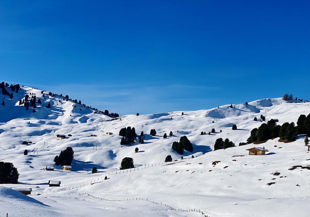 a snow covered mountain with a few trees on top of it