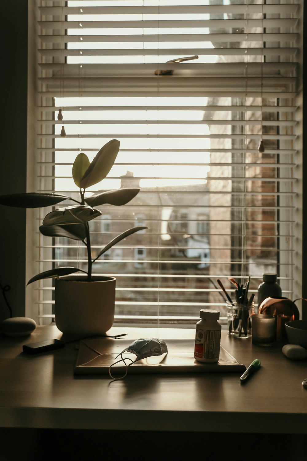 a desk with a potted plant on top of it