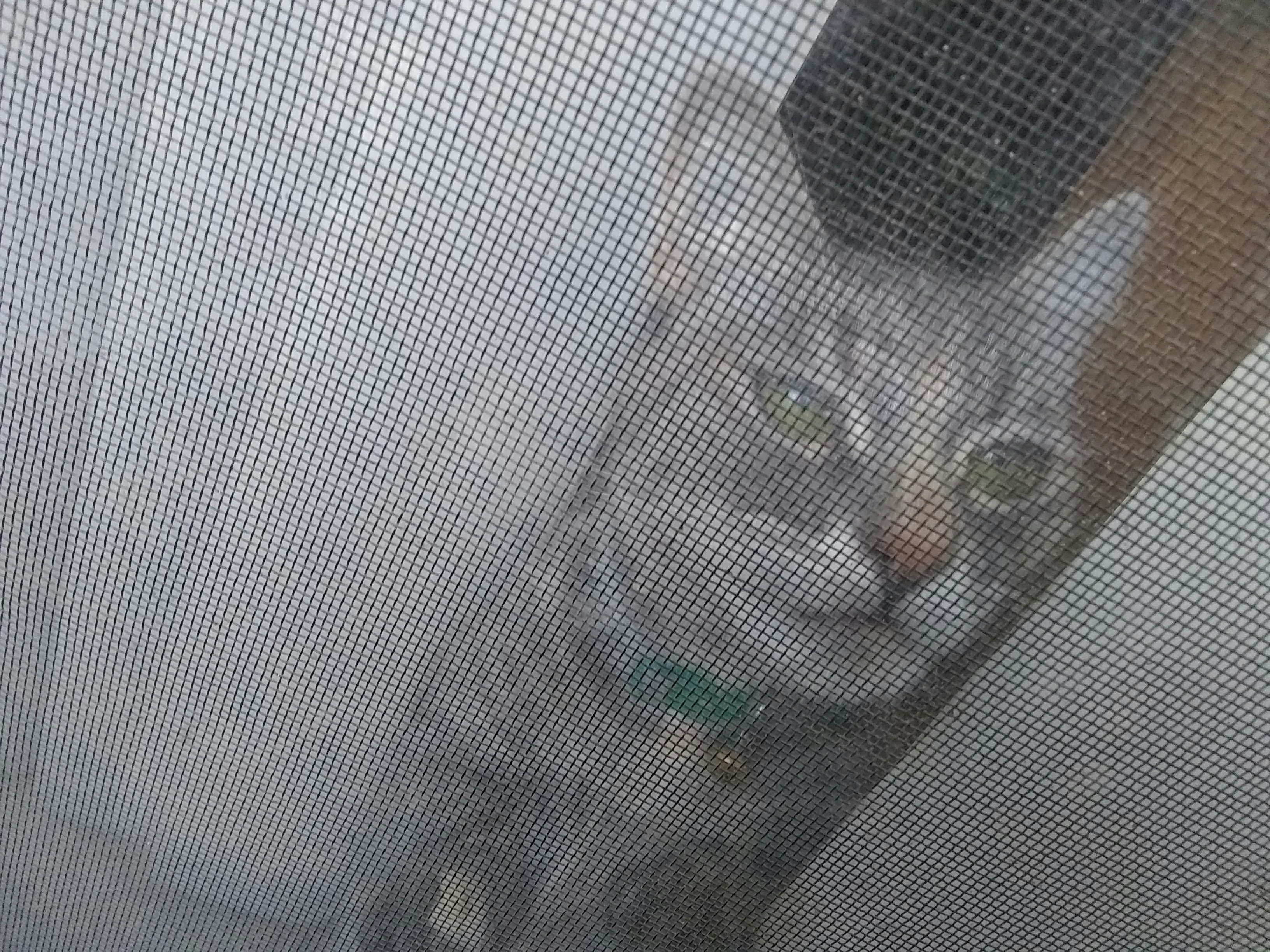 Ankara'da Kedi Sinekliği Kullanmanın Önemi