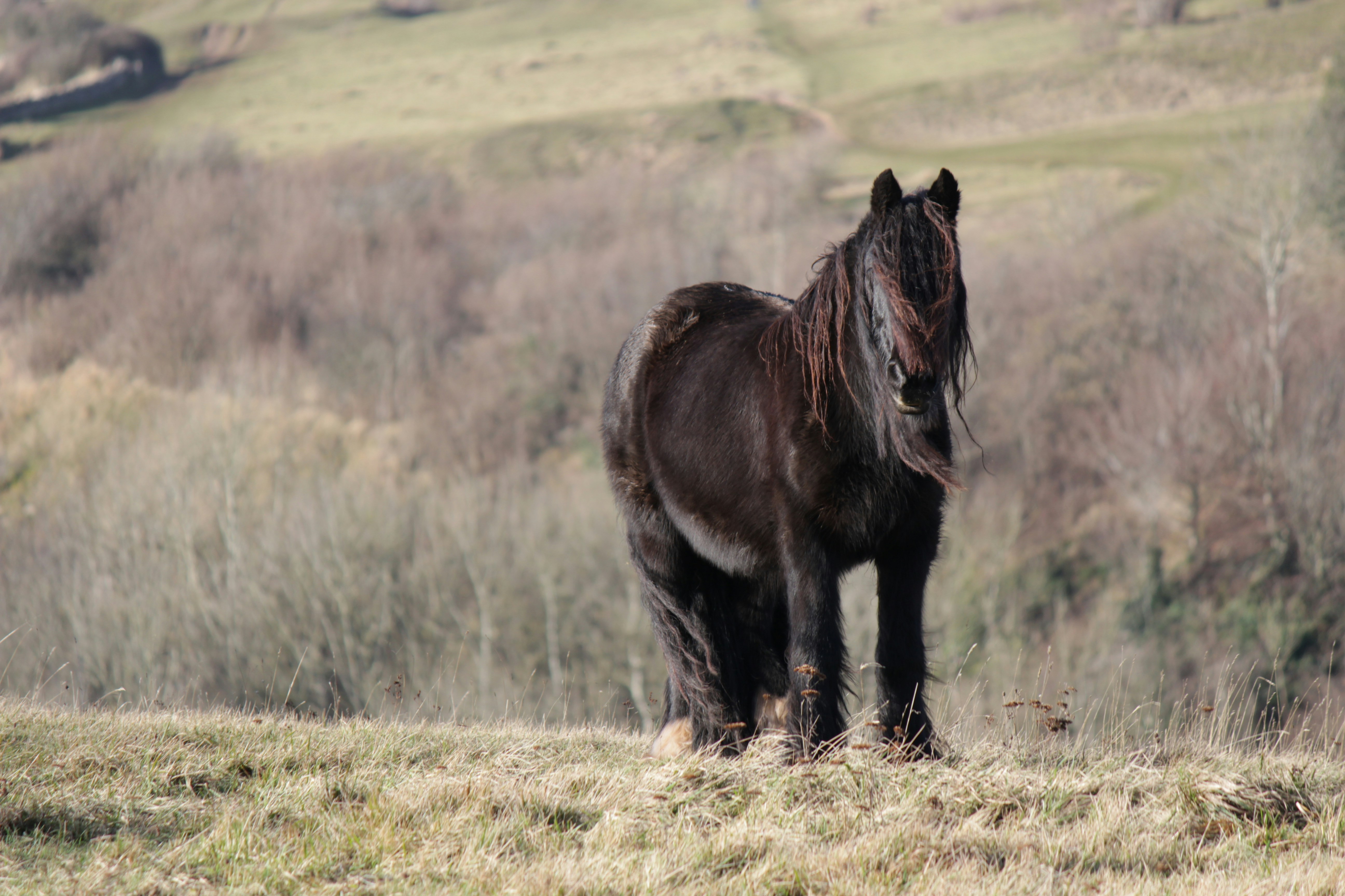 Photo by levelupfilming