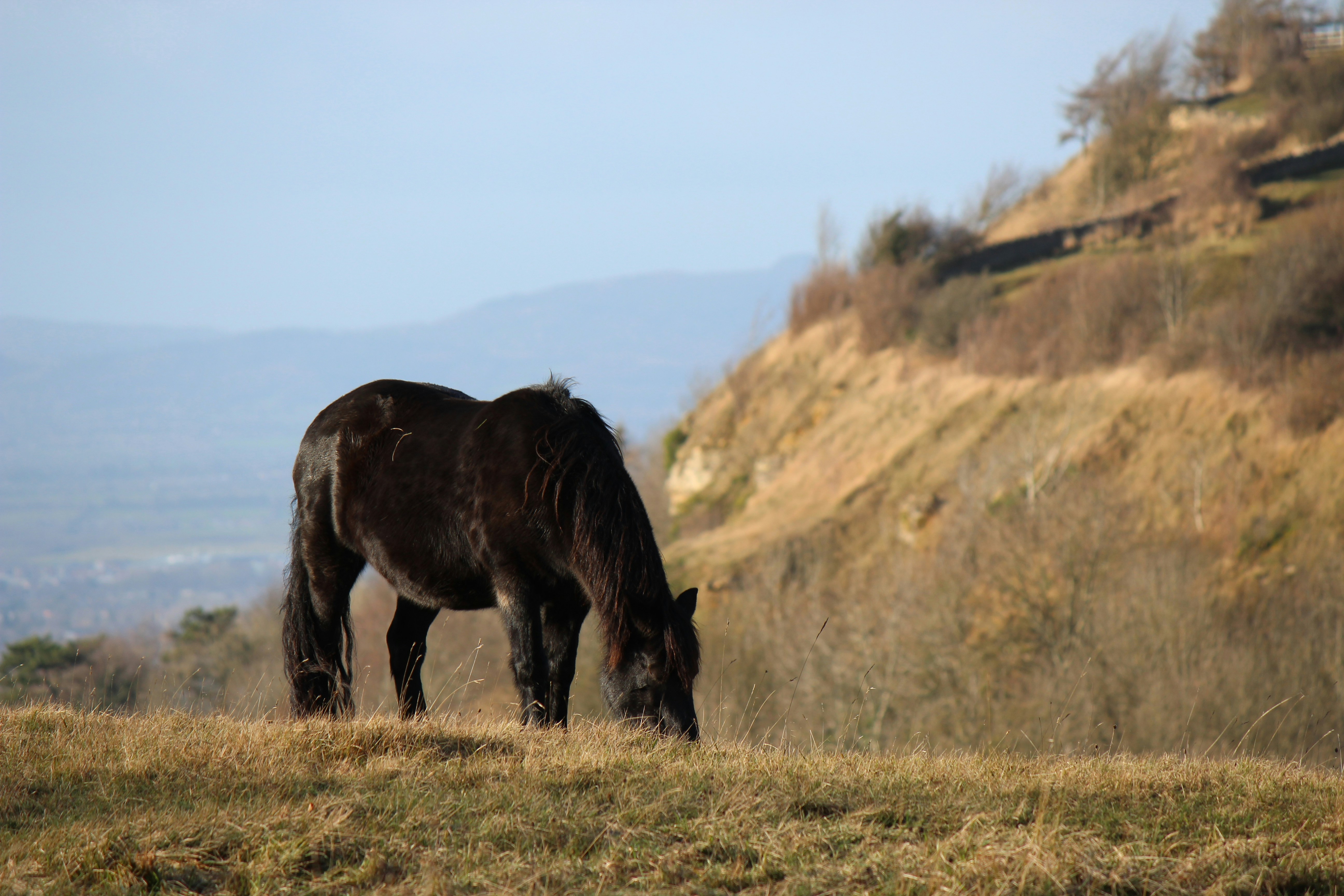 Photo by levelupfilming