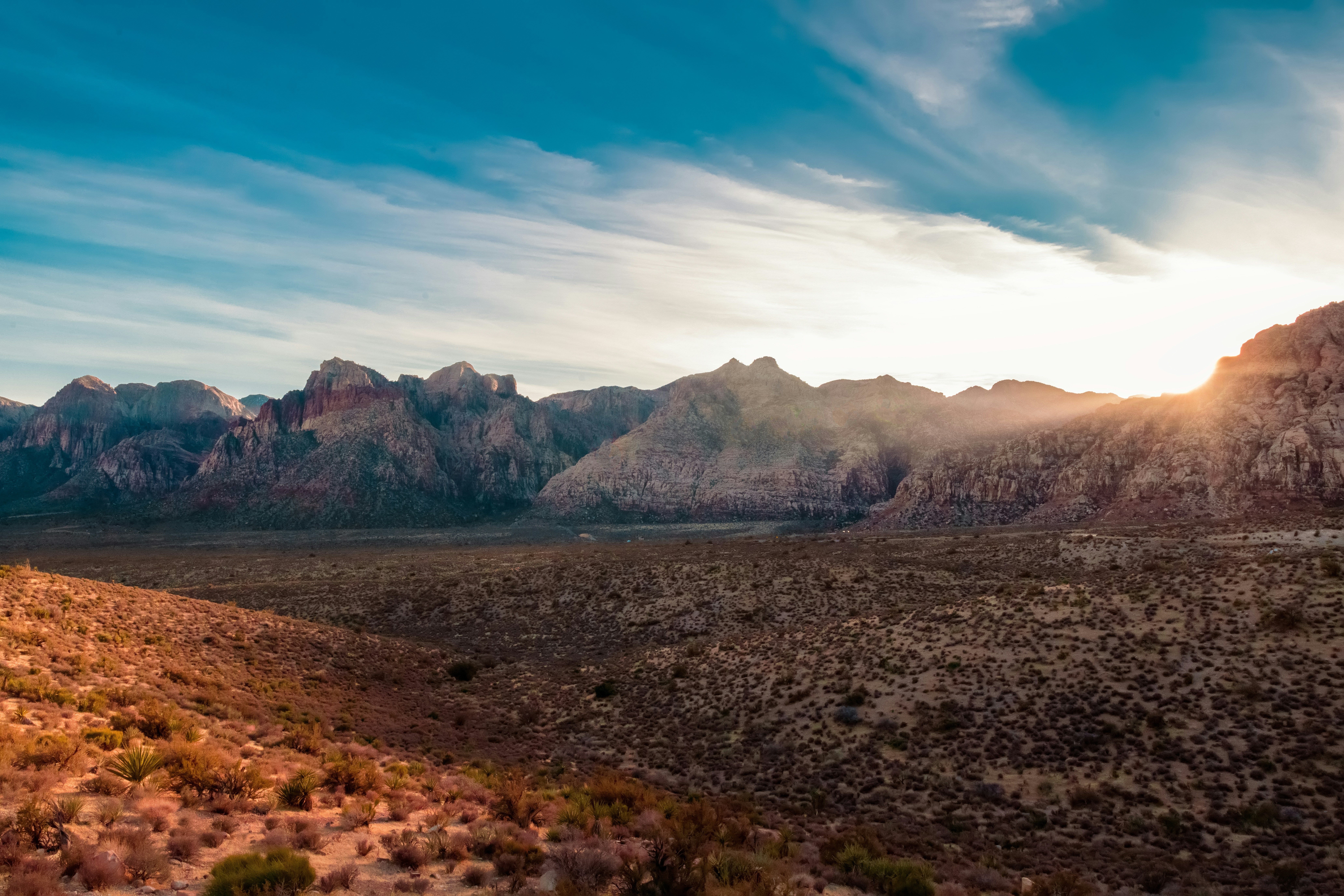 Photo by catparkerphoto