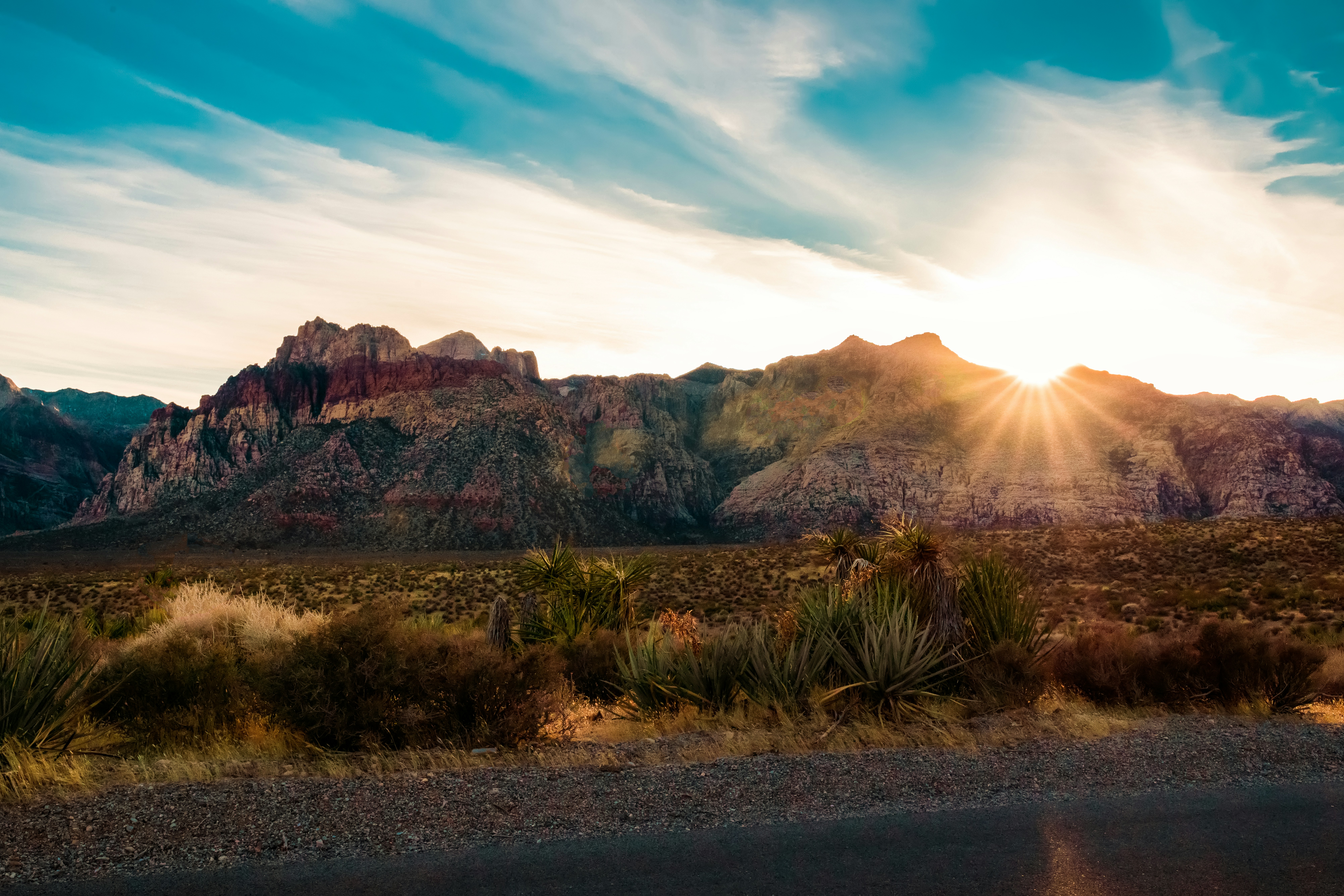 Photo by catparkerphoto