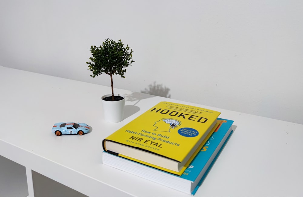 ein Tisch mit einem Buch und einer Pflanze darauf