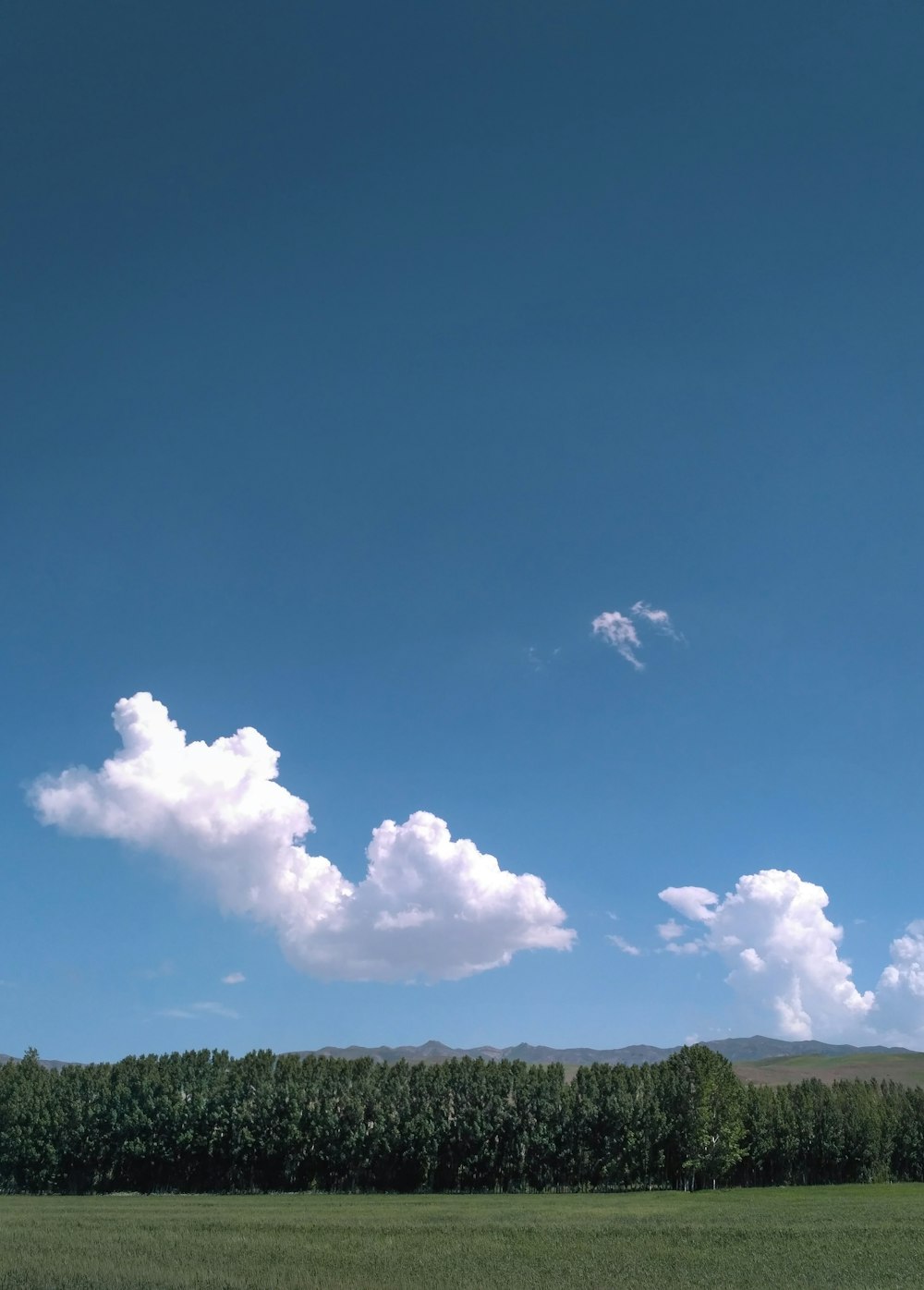 um grande campo com árvores e nuvens no céu