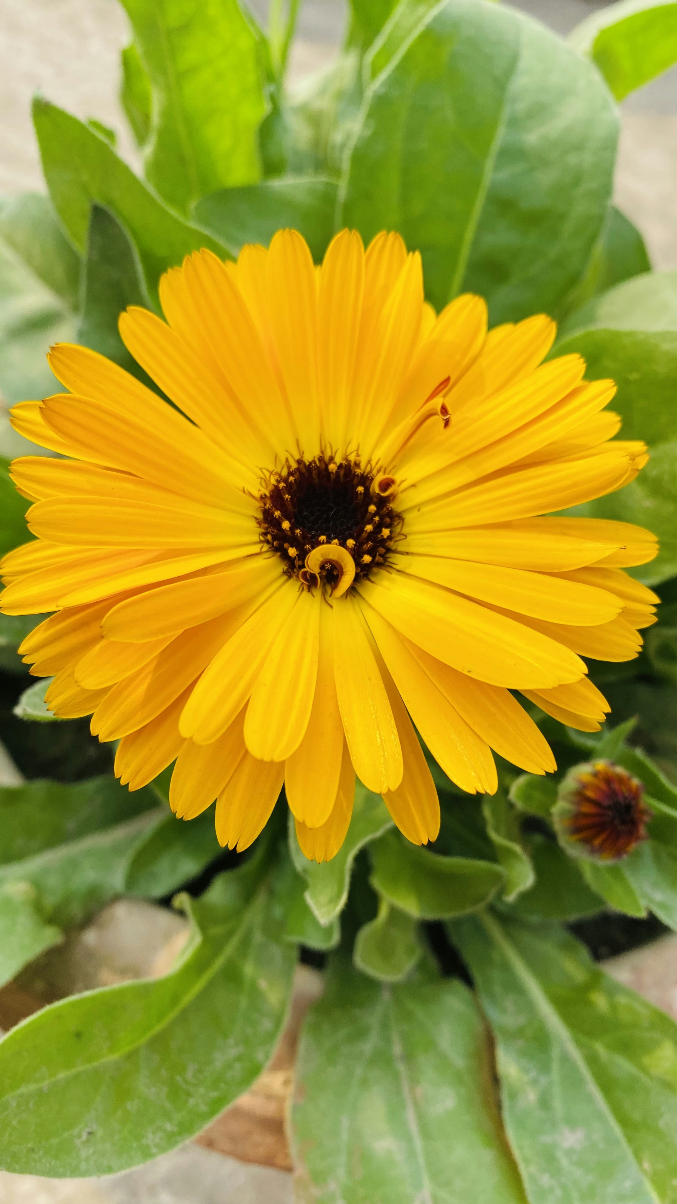 Photo by arunkumar28