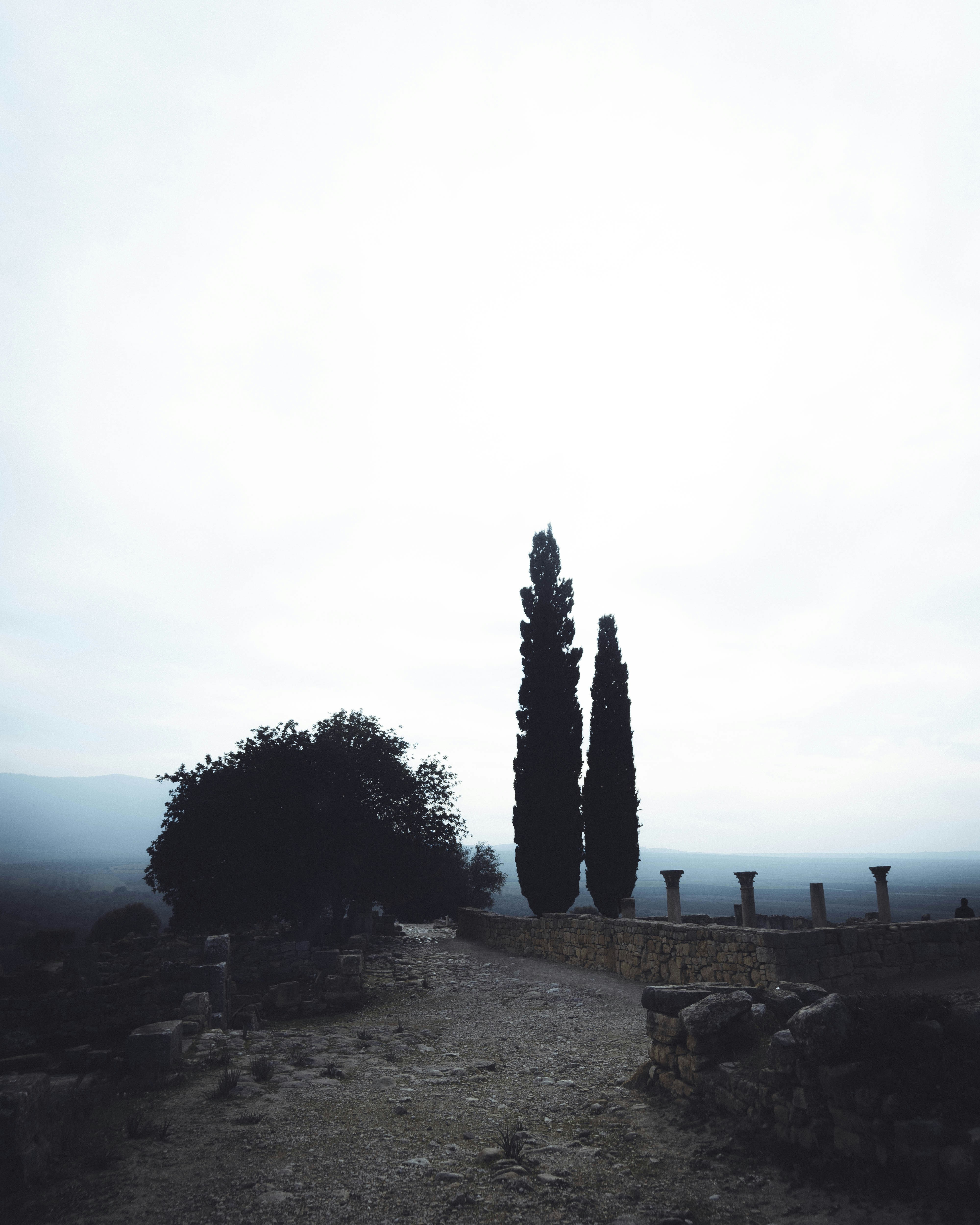 Volubilis