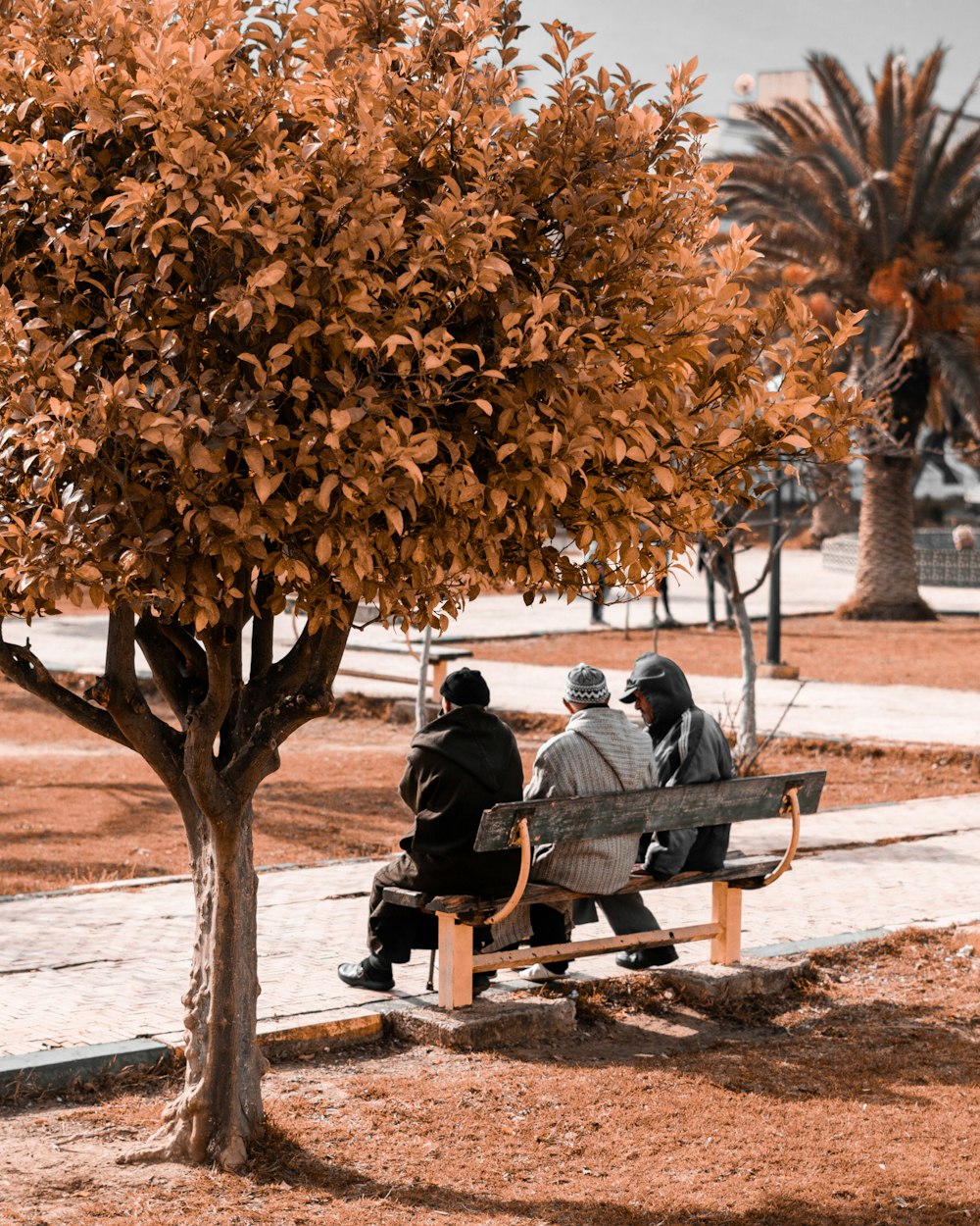 un groupe de personnes assises sur un banc sous un arbre