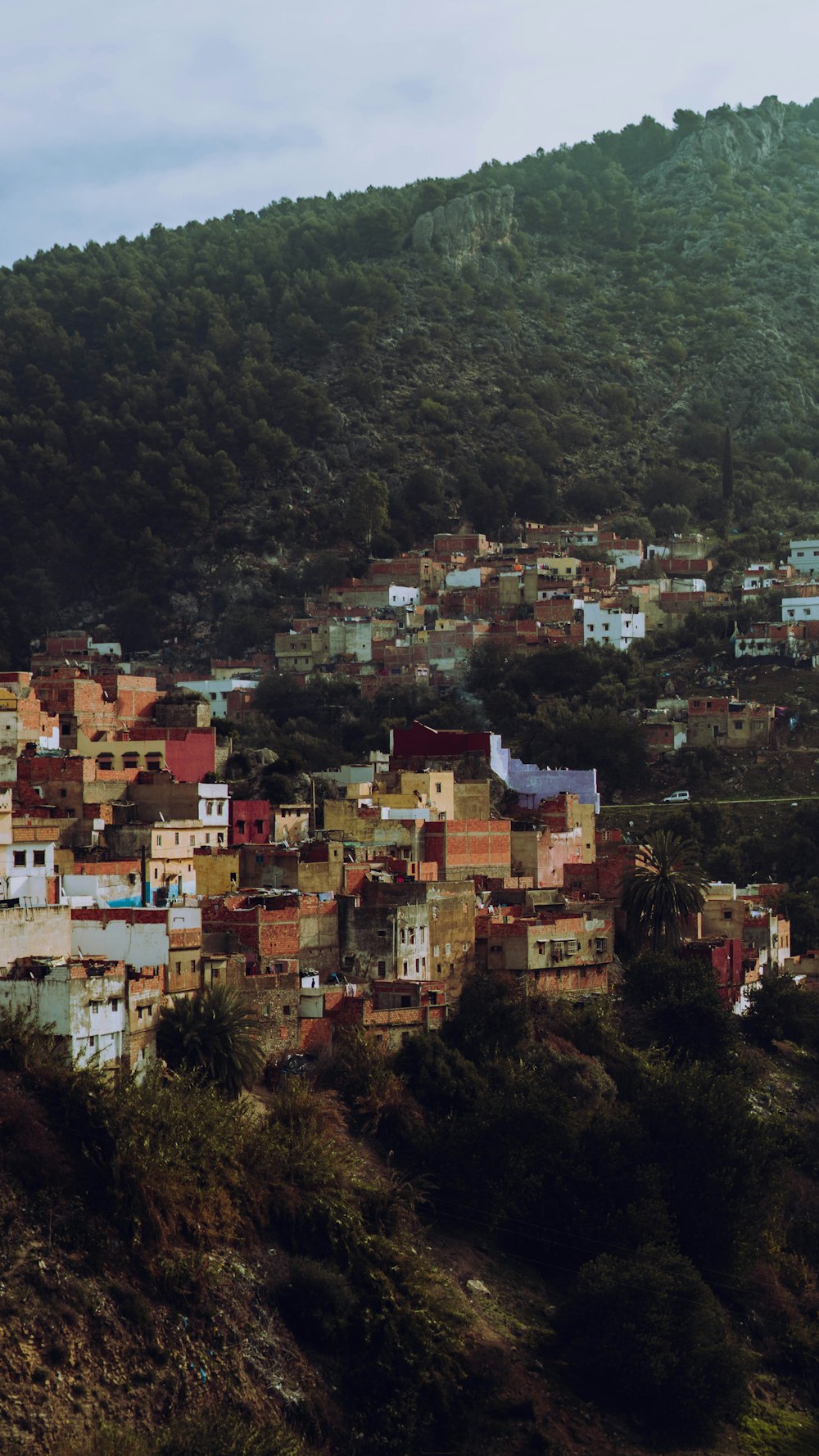 a hillside with a village on it