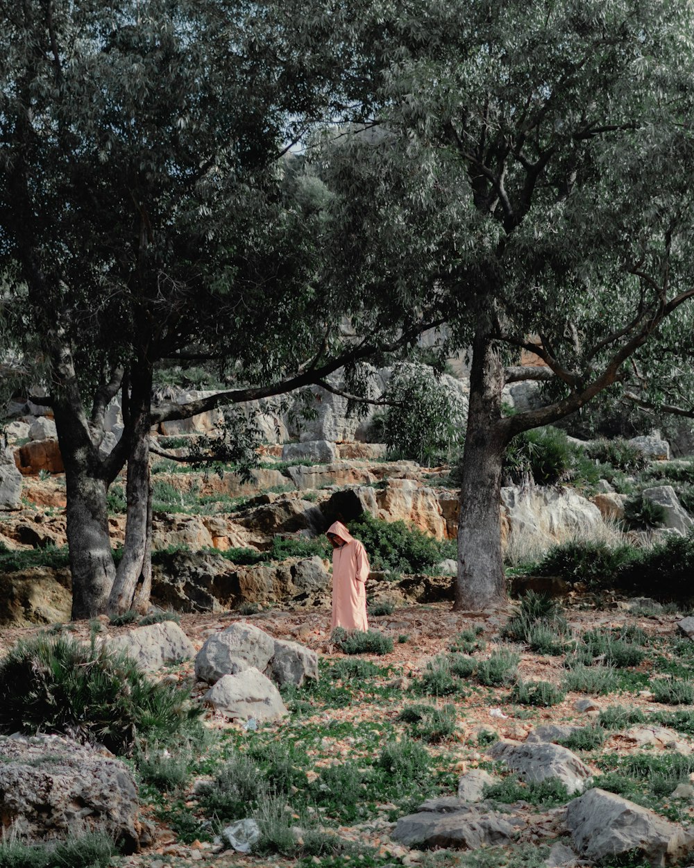 a woman in a pink dress walking through a forest